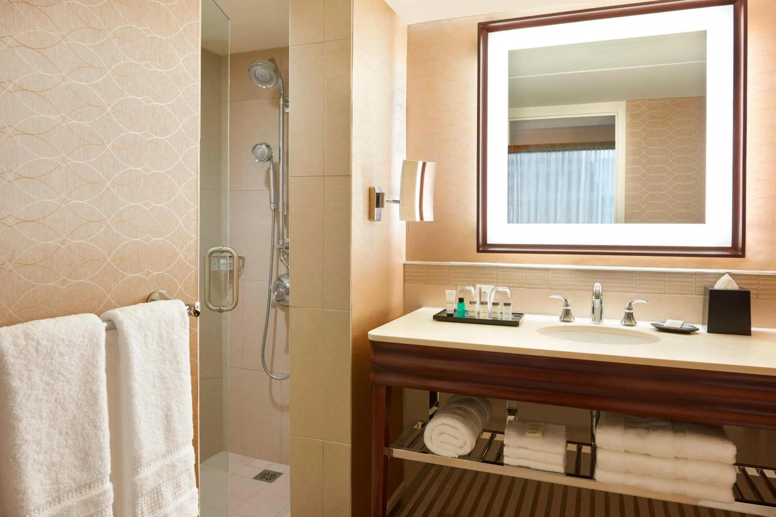 Bathroom in Sheraton Centre Toronto Hotel