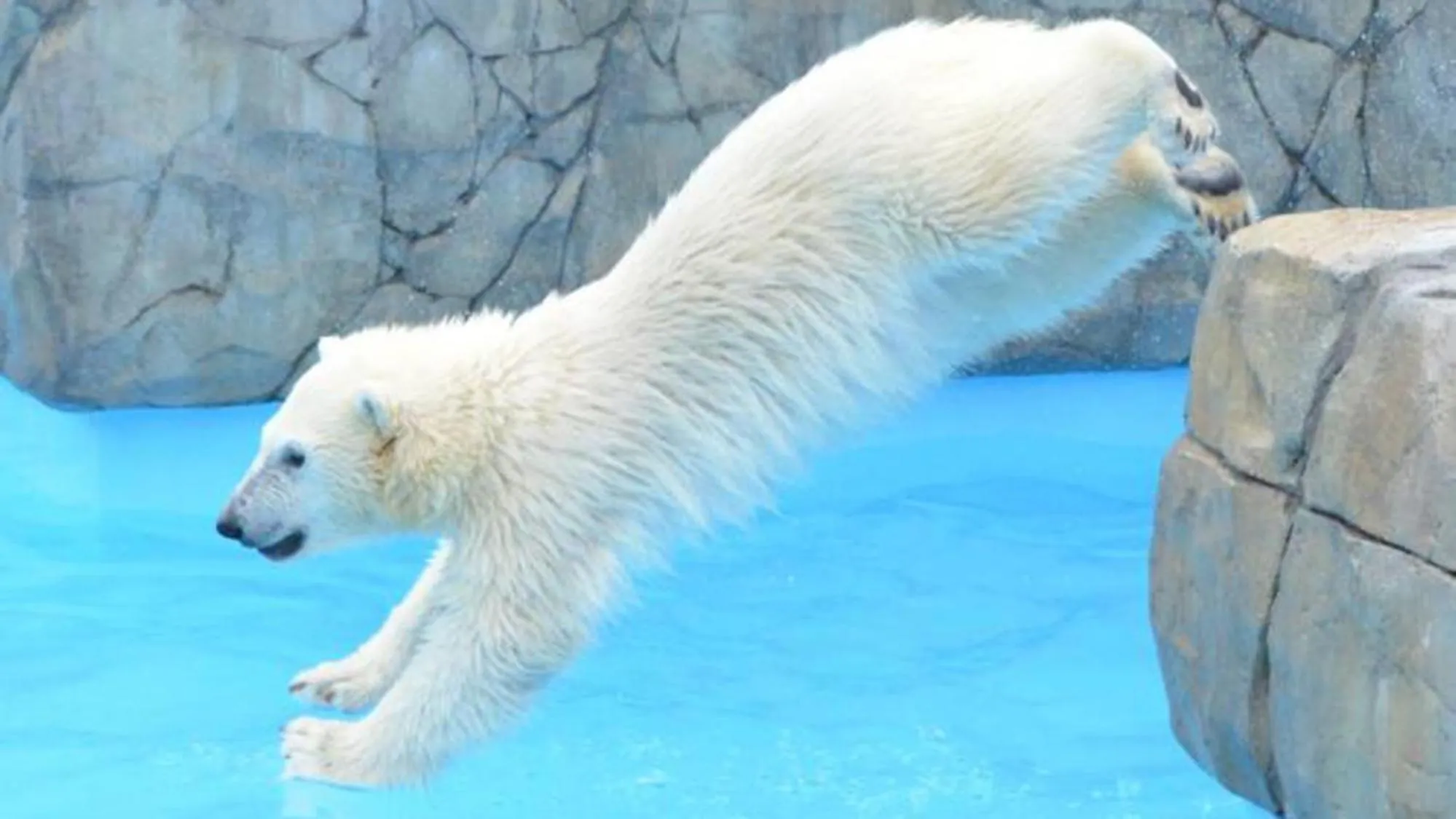 Nearby landmark in Toyoko Inn Hokkaido Sapporo-eki Nishi-guchi Hokudai Mae