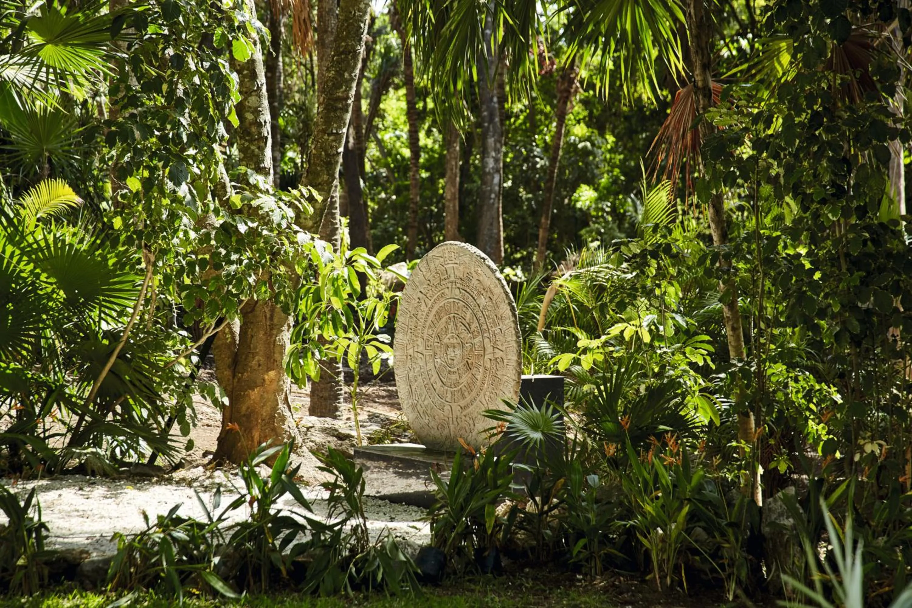 Garden in Riu Tequila - All Inclusive