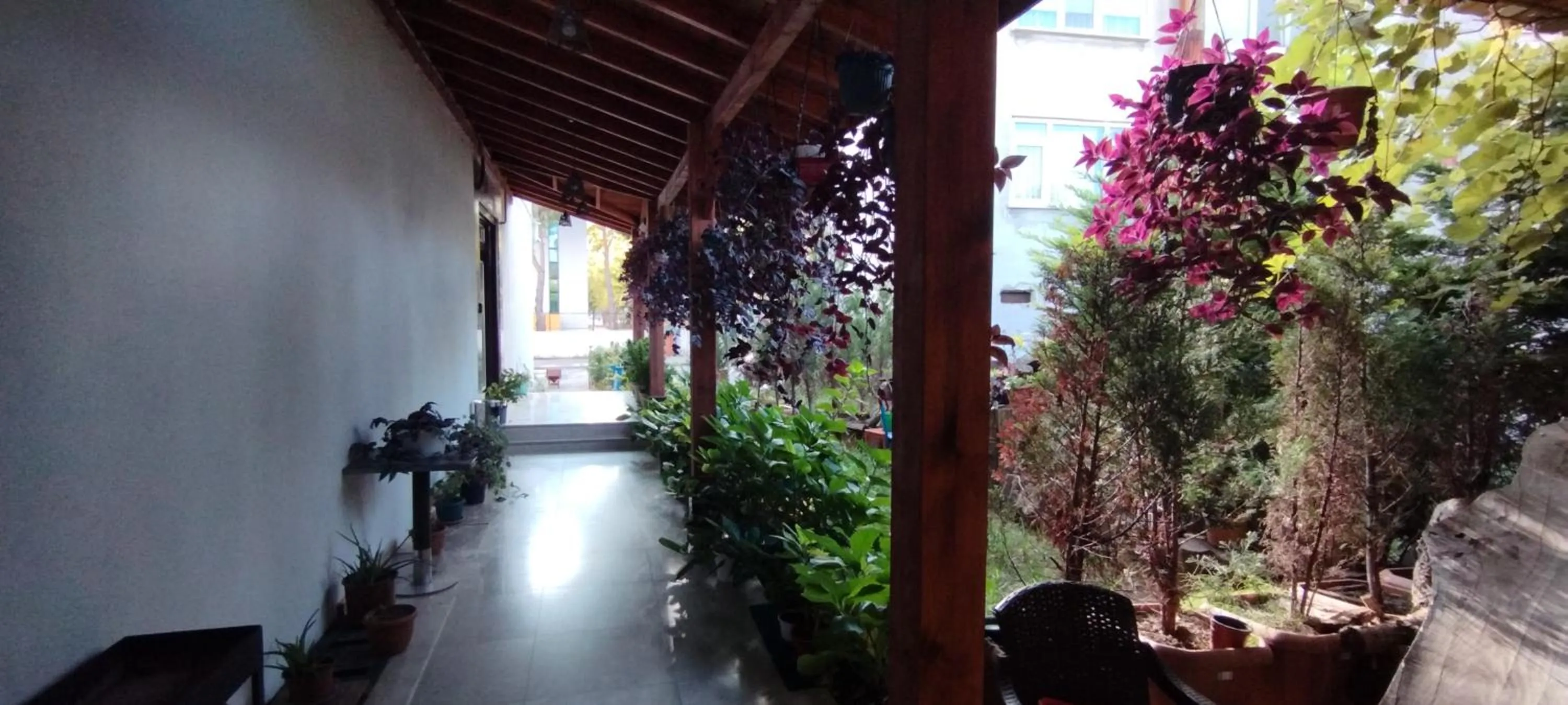 Facade/entrance in Ceneviz Suit Hotel