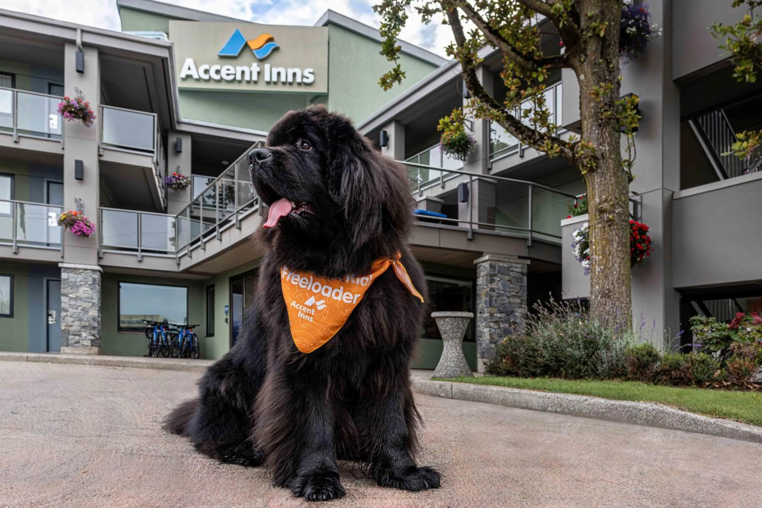 Property building in Accent Inns Vancouver Airport