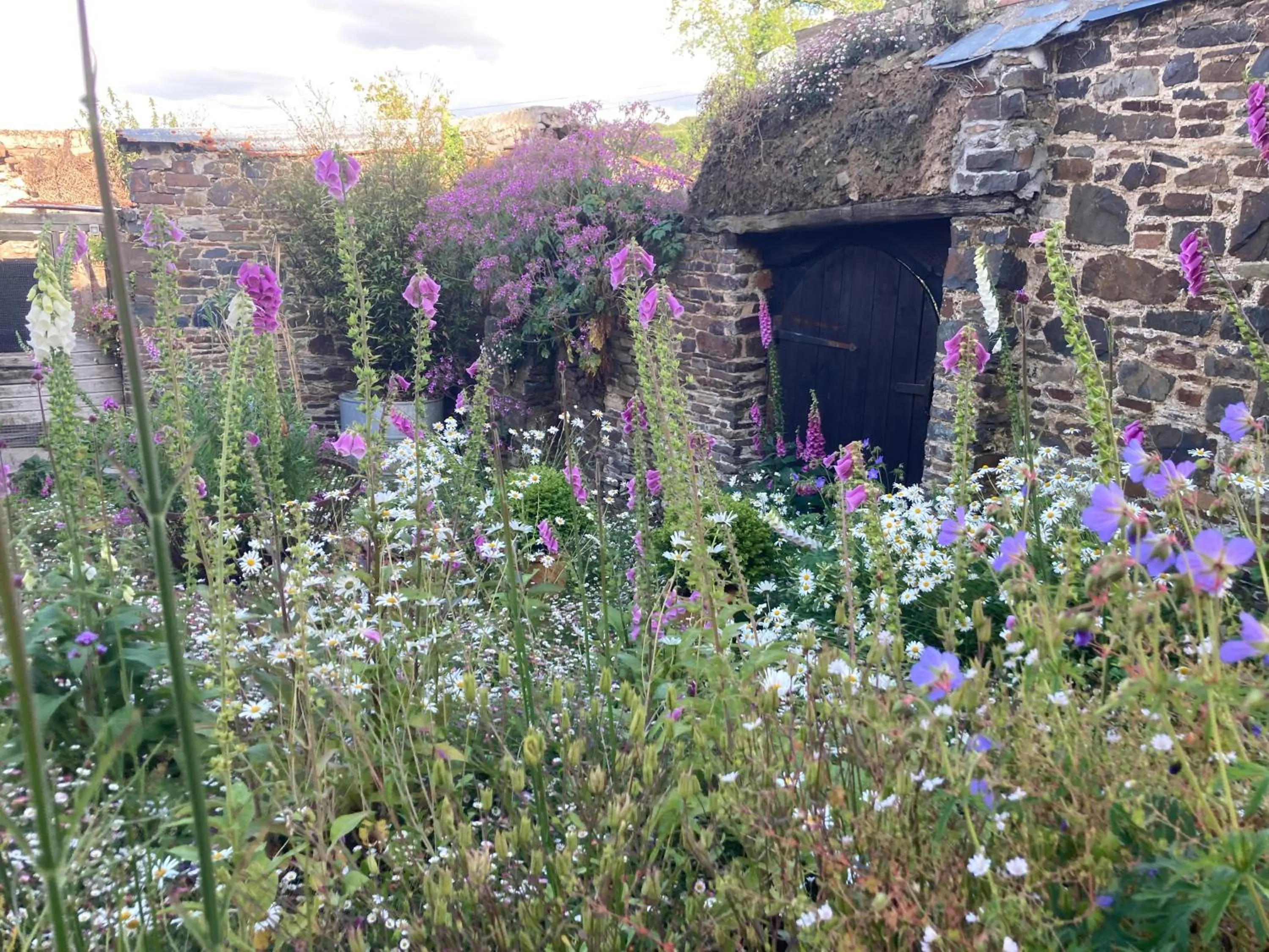 Garden in Frizenham Farmhouse