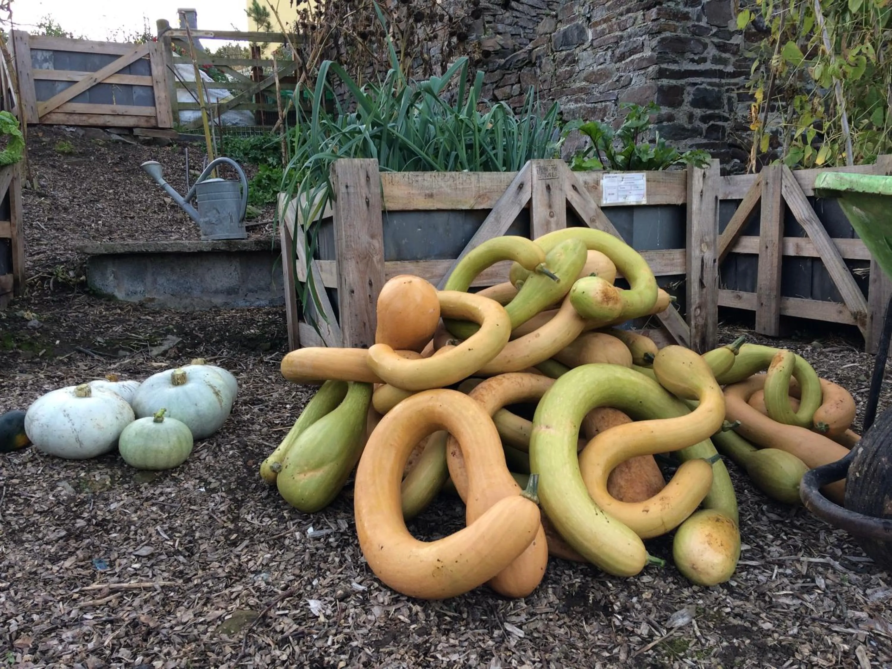 Garden in Frizenham Farmhouse