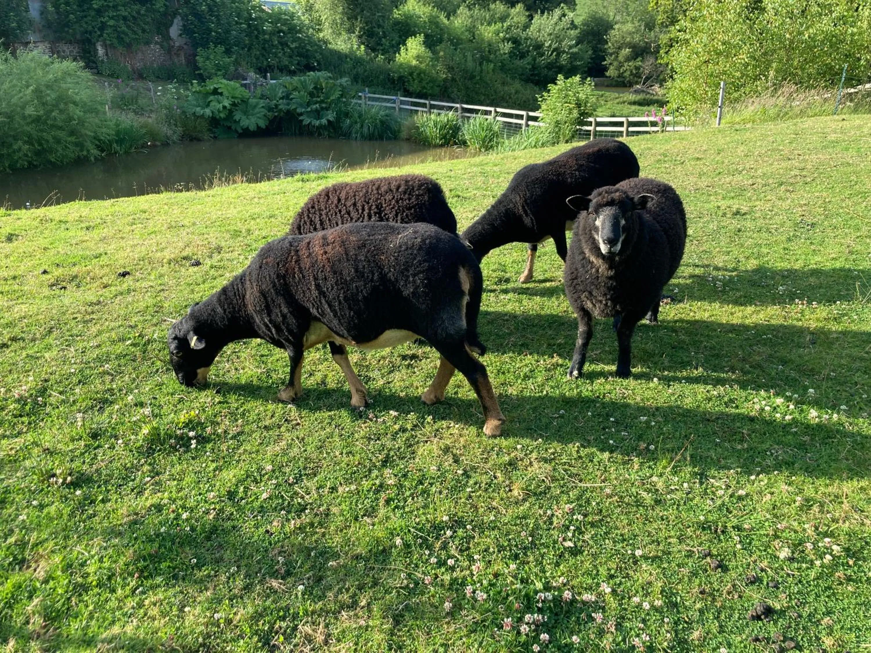 Garden in Frizenham Farmhouse