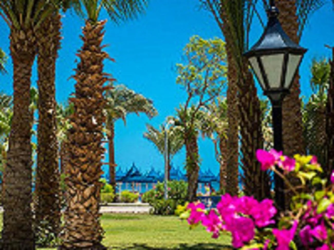 Garden in The Grand Hotel, Hurghada