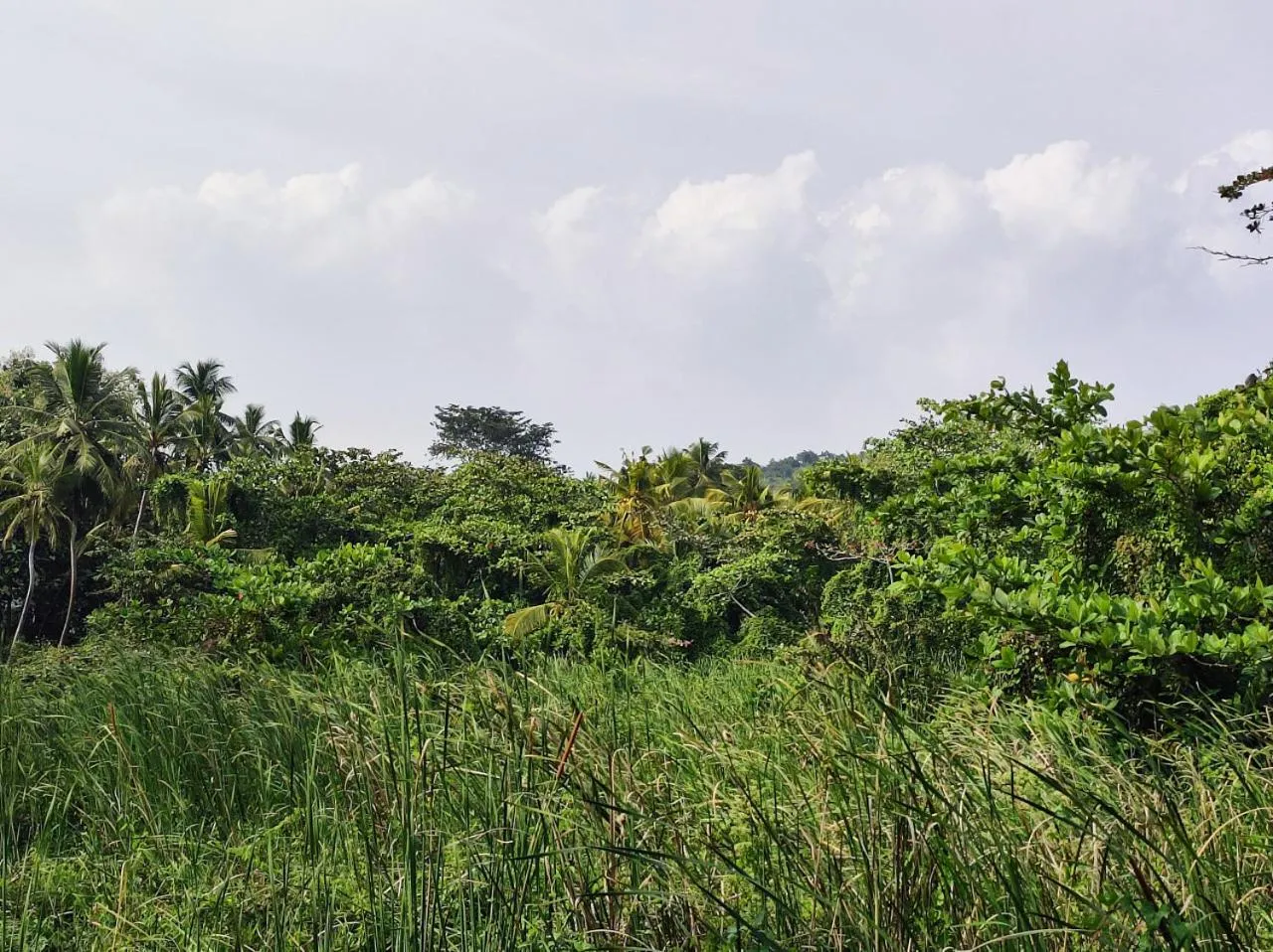 Natural landscape in Schatzi's Hideaway