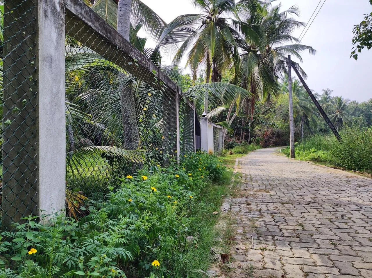 Facade/entrance in Schatzi's Hideaway