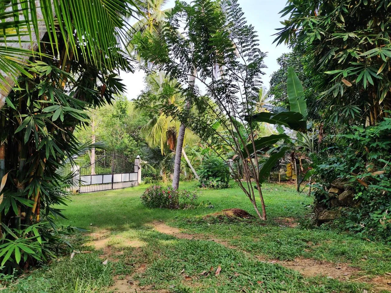 Natural landscape in Schatzi's Hideaway