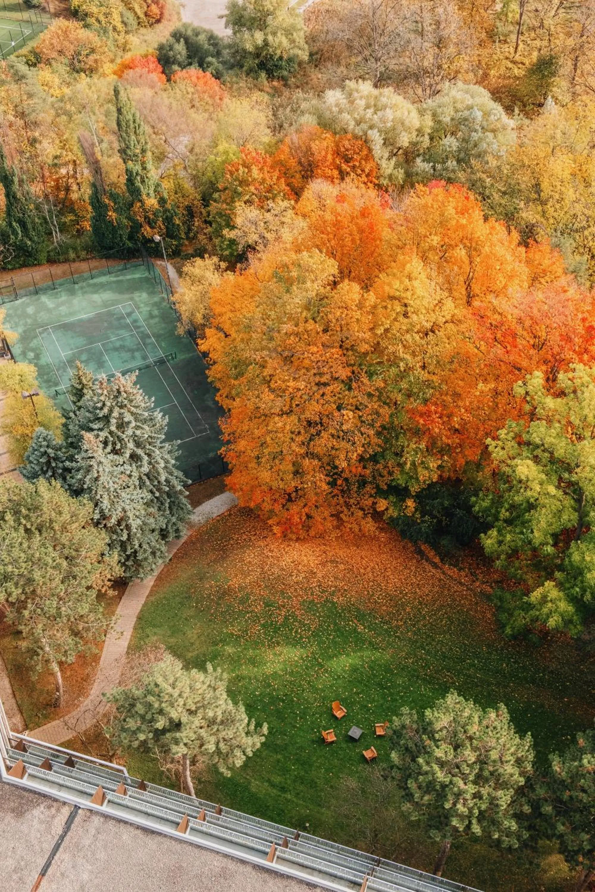 View (from property/room) in Pan Pacific Toronto