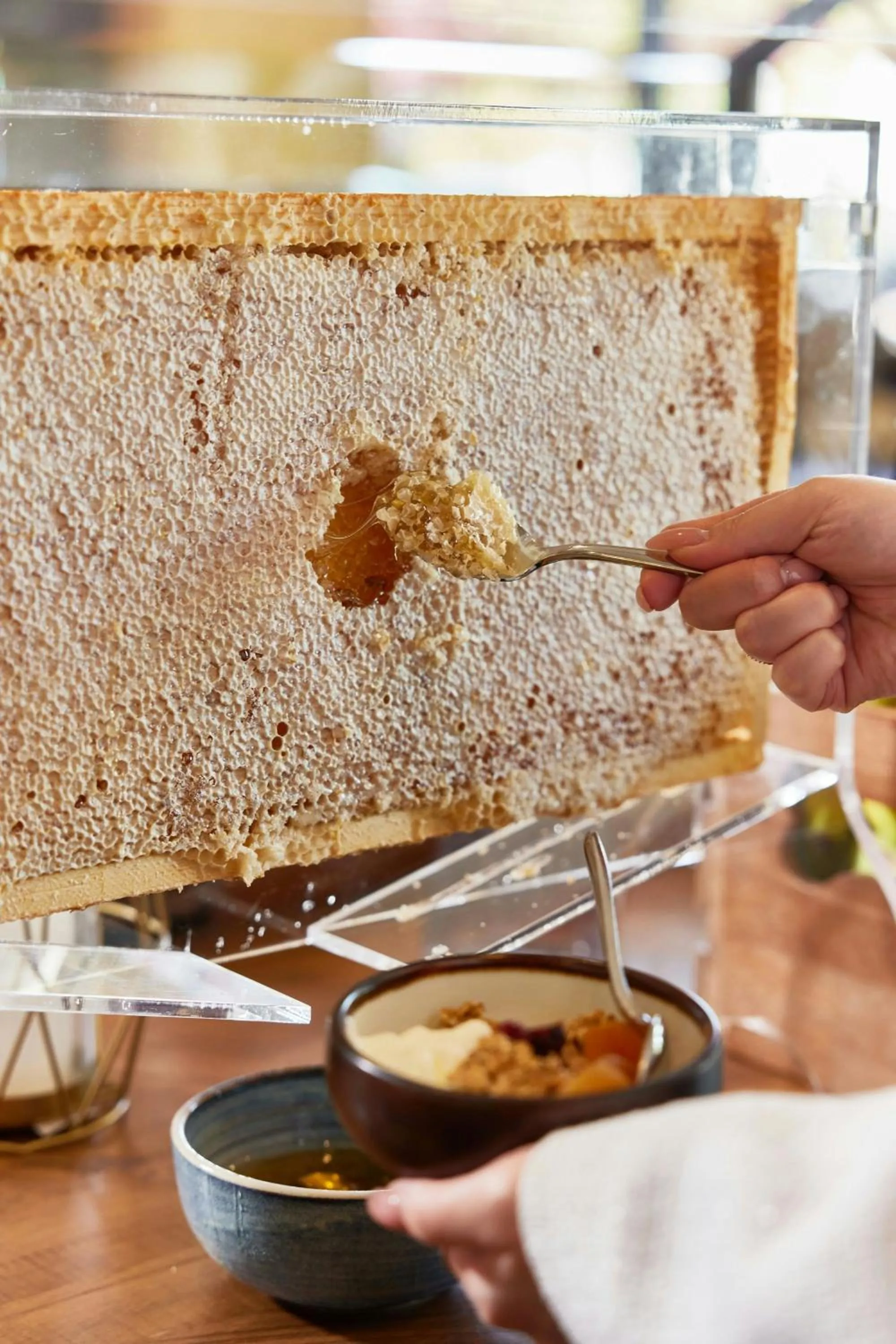 Restaurant/places to eat in The Westin Bayshore, Vancouver