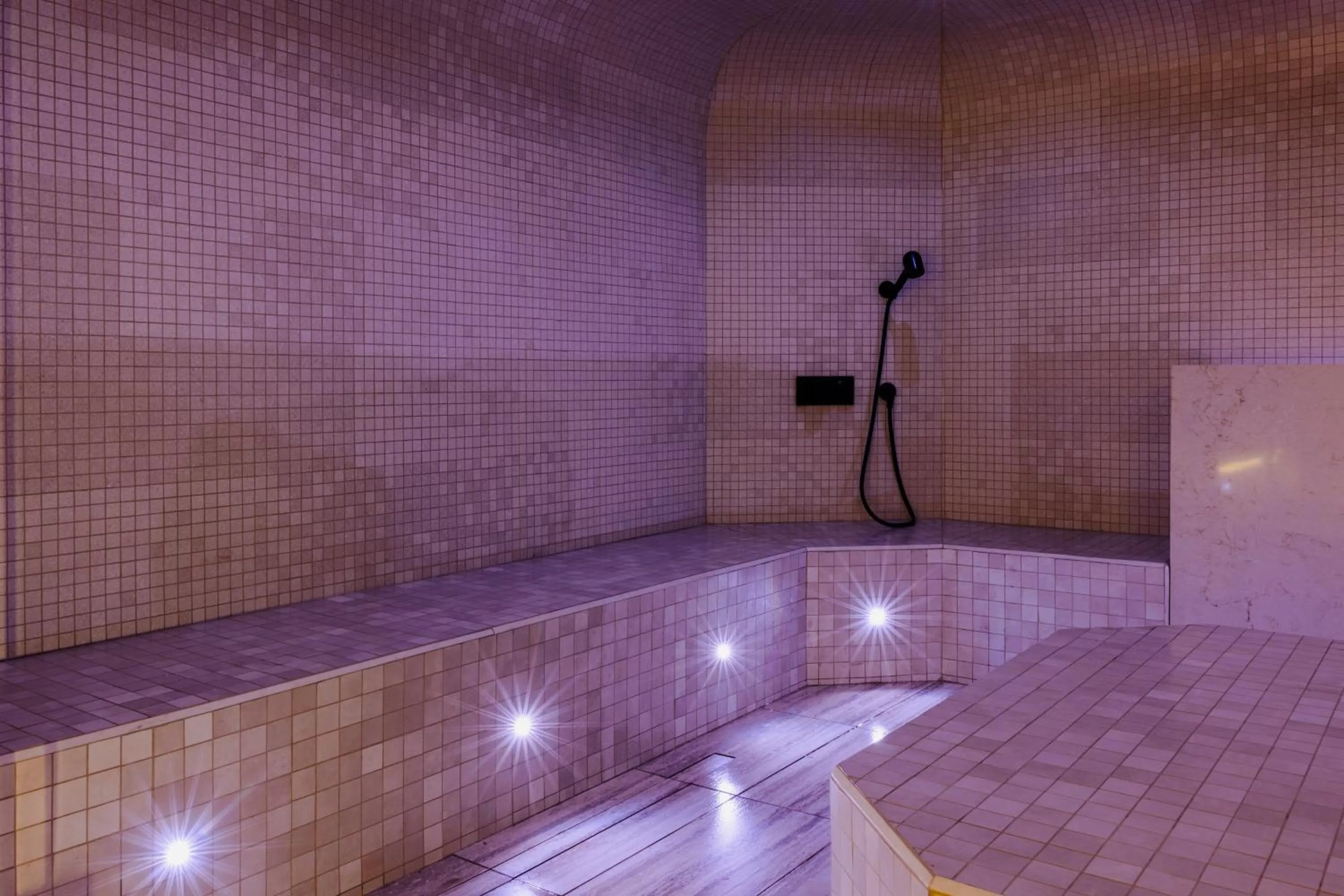 Spa and wellness centre/facilities in hotel & spa Carré Saint-Louis