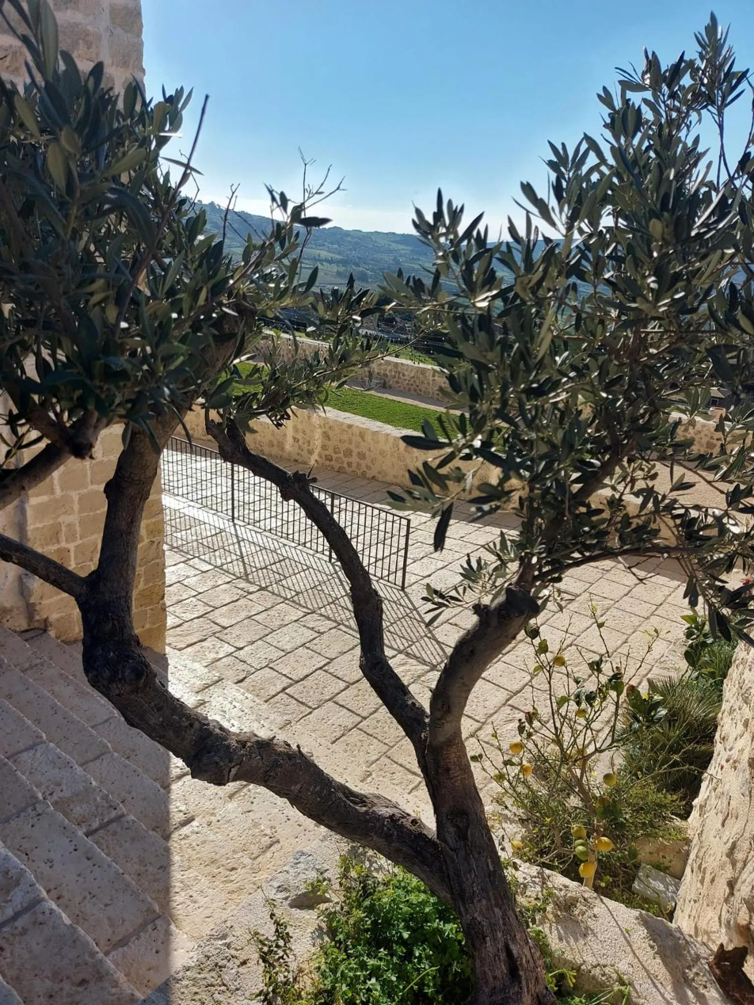 Garden in Masseria Torre Saracena