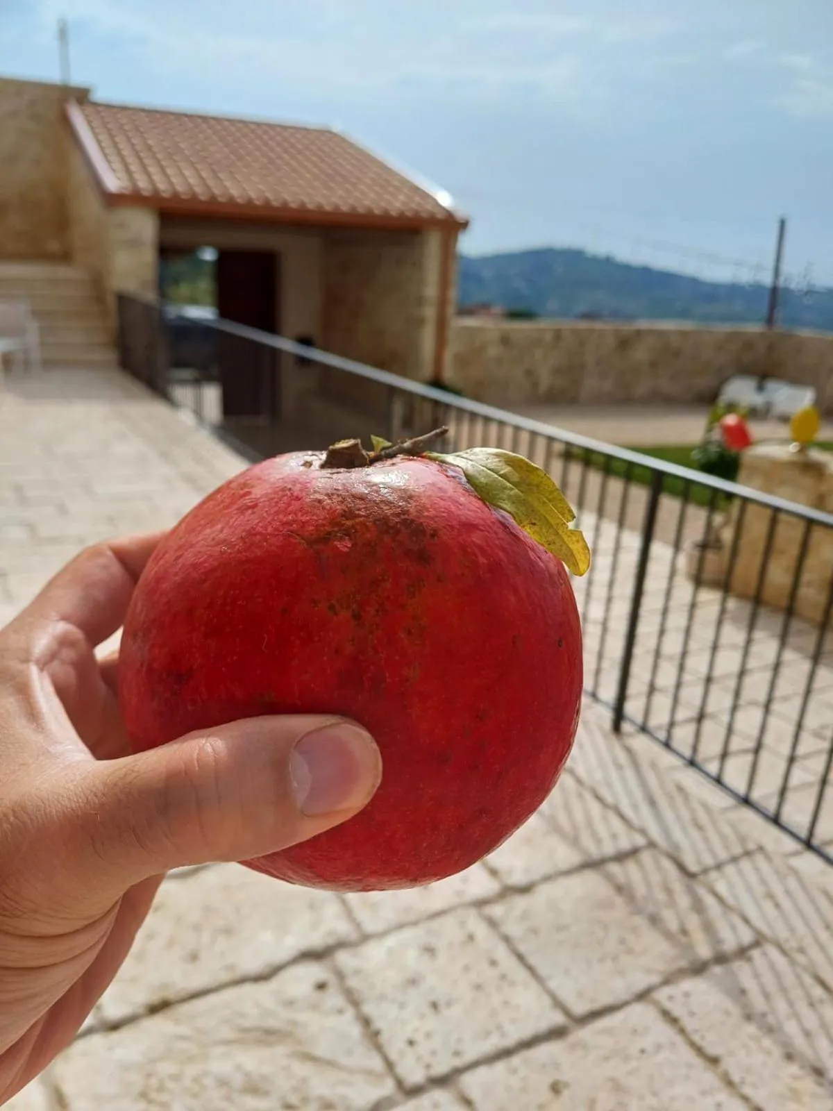Food in Masseria Torre Saracena
