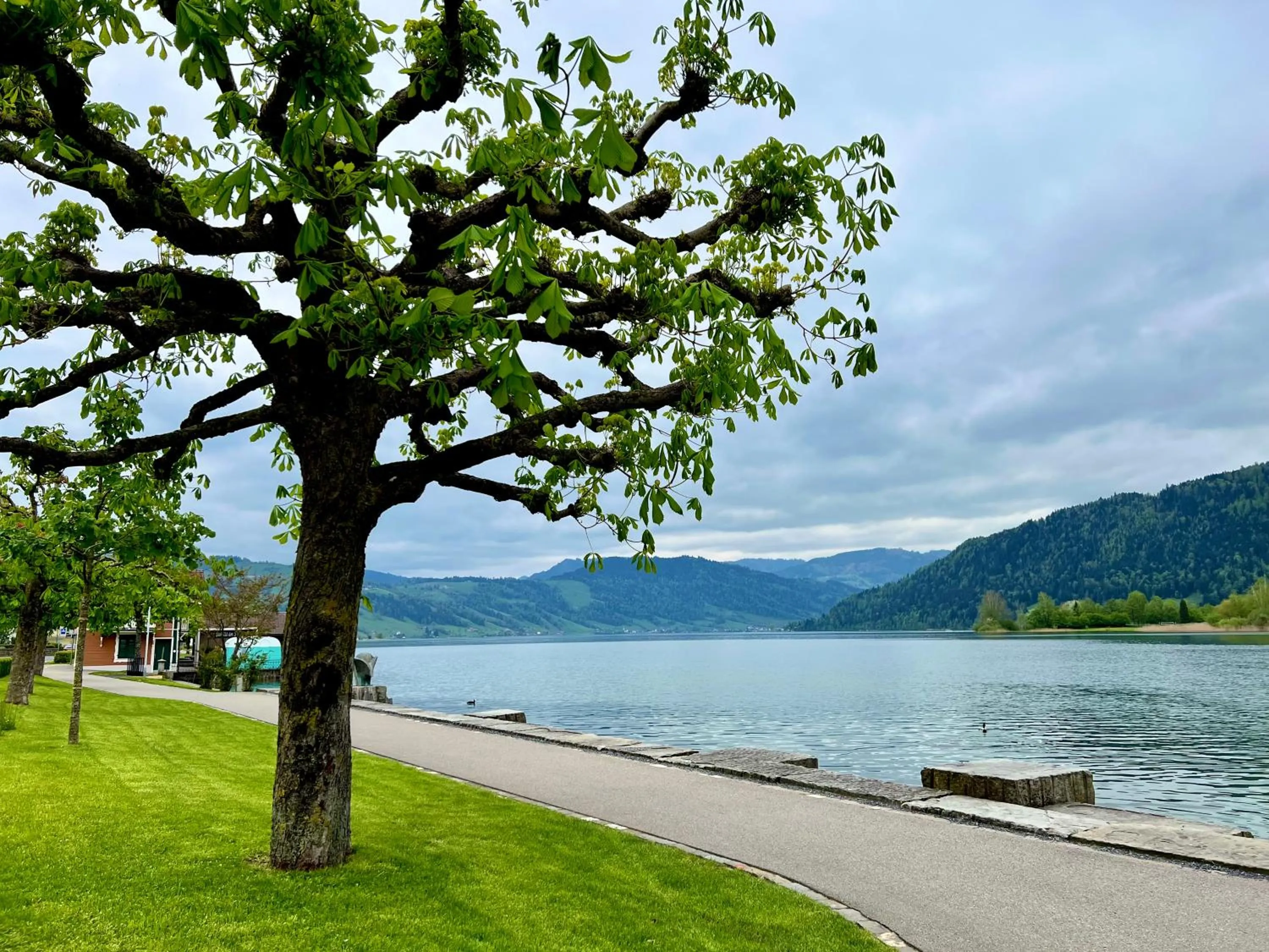 Rössli Self Check in 24-7 Free Parking