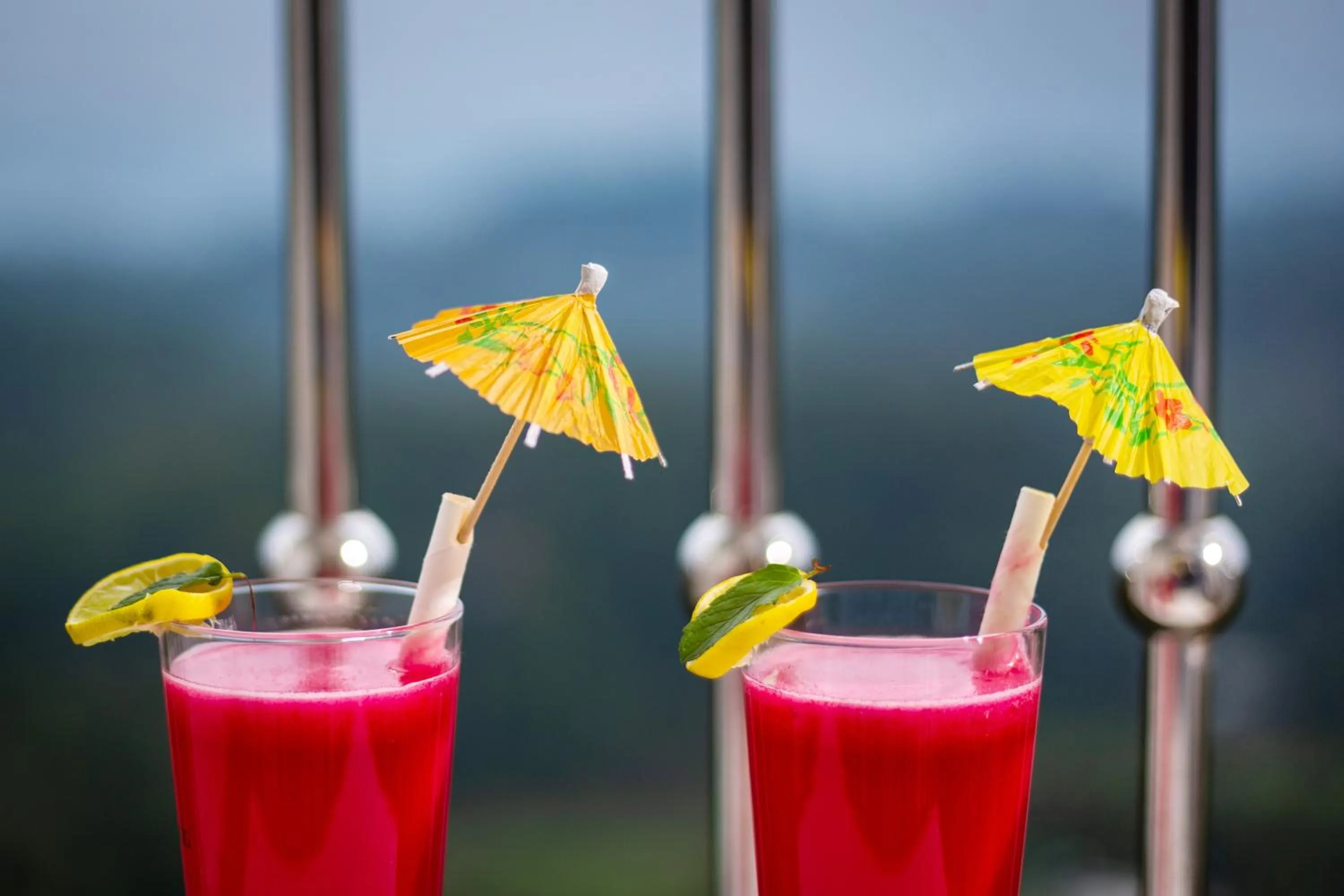 Food and drinks in Ramee Wolkenburg Resort & Spa, Munnar