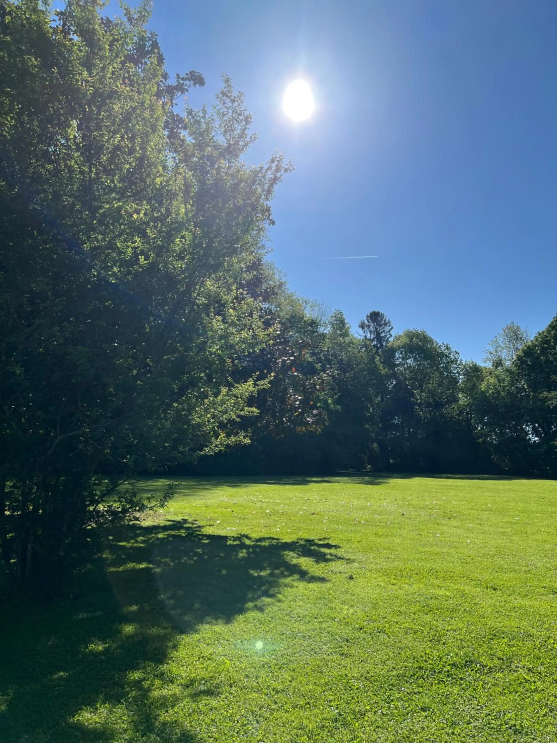 Garden in Domaine Clairfontaine Noyarey - Suites Junior