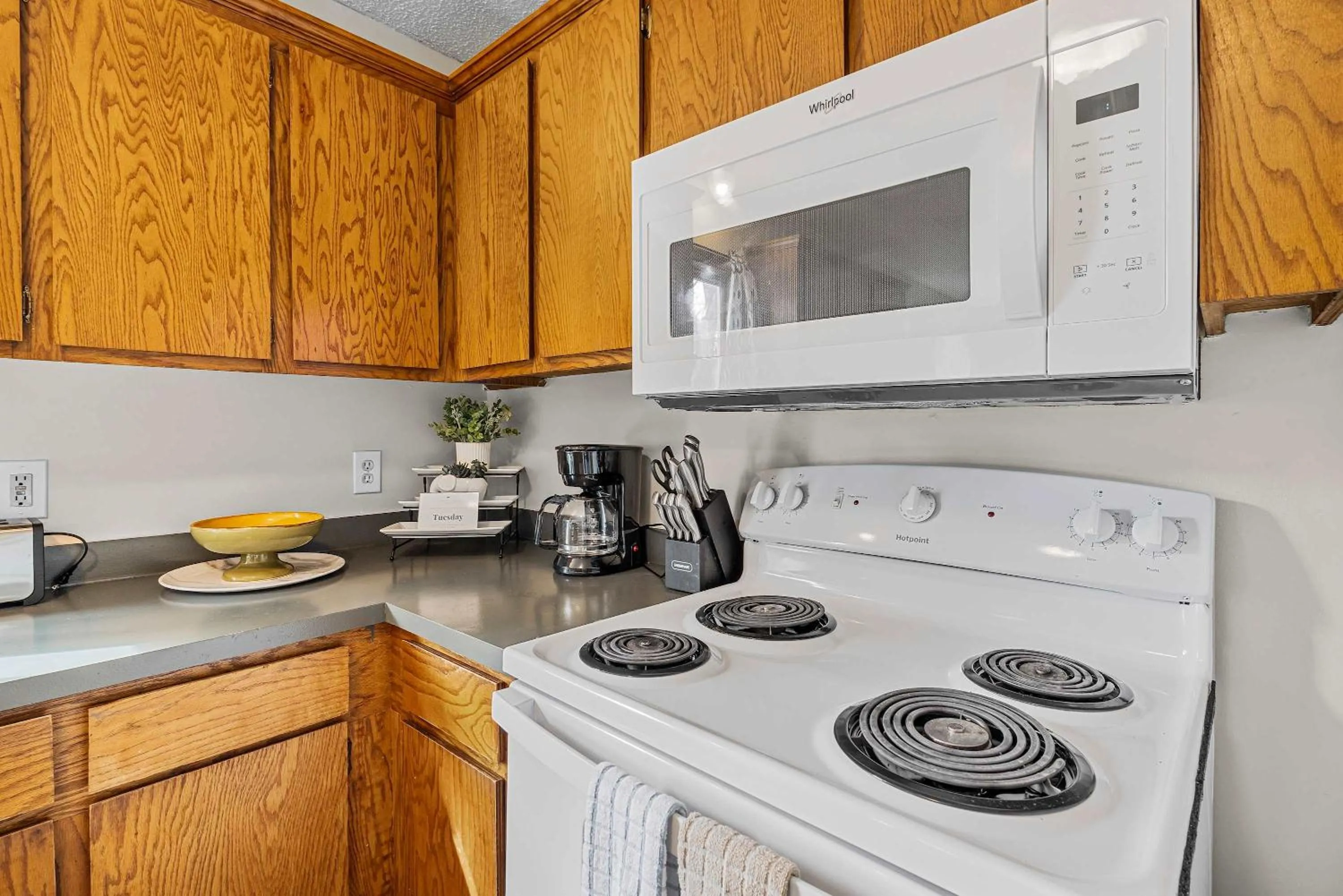 The Garnet Goliath Columbias Biggest BnB Yard