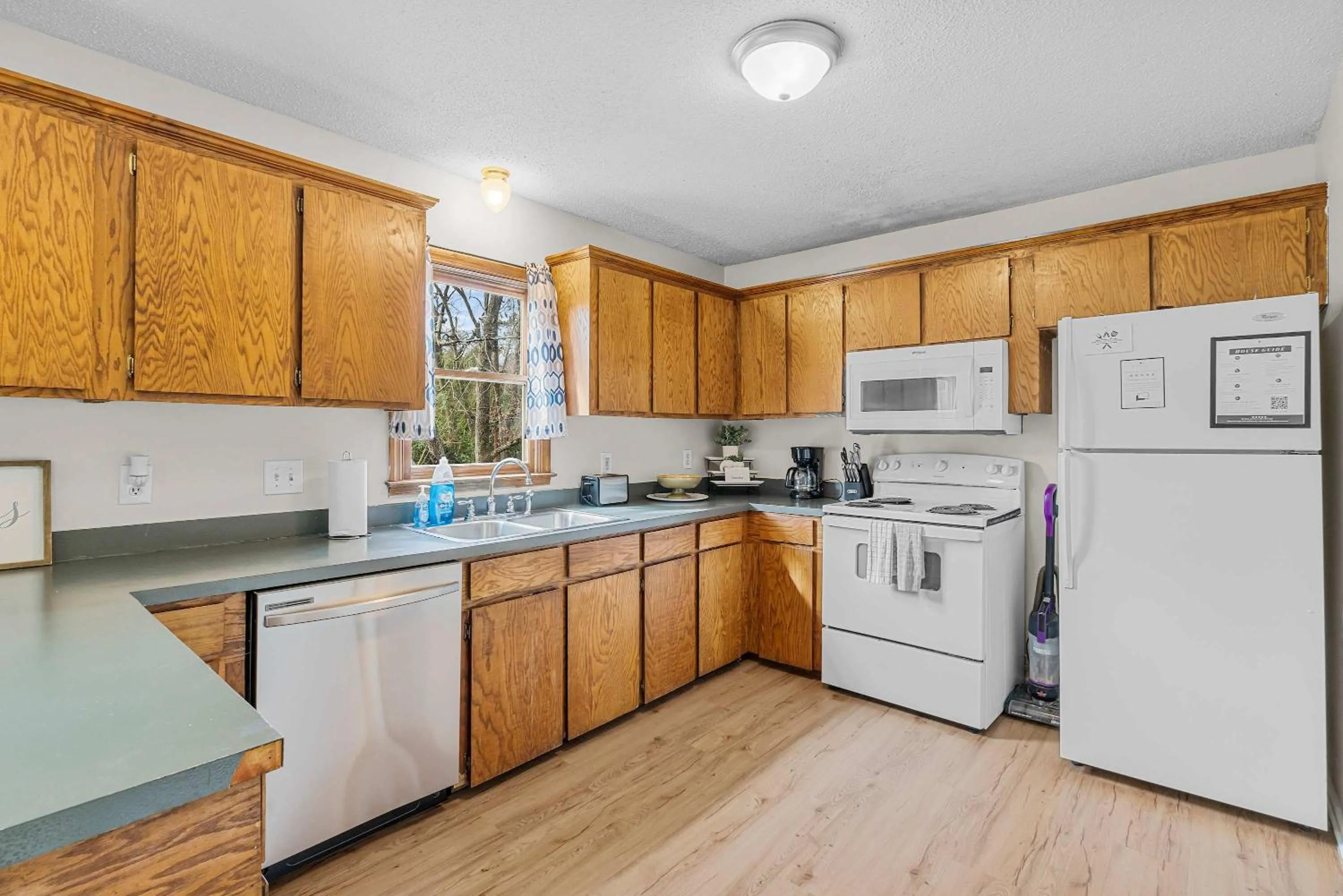 The Garnet Goliath Columbias Biggest BnB Yard