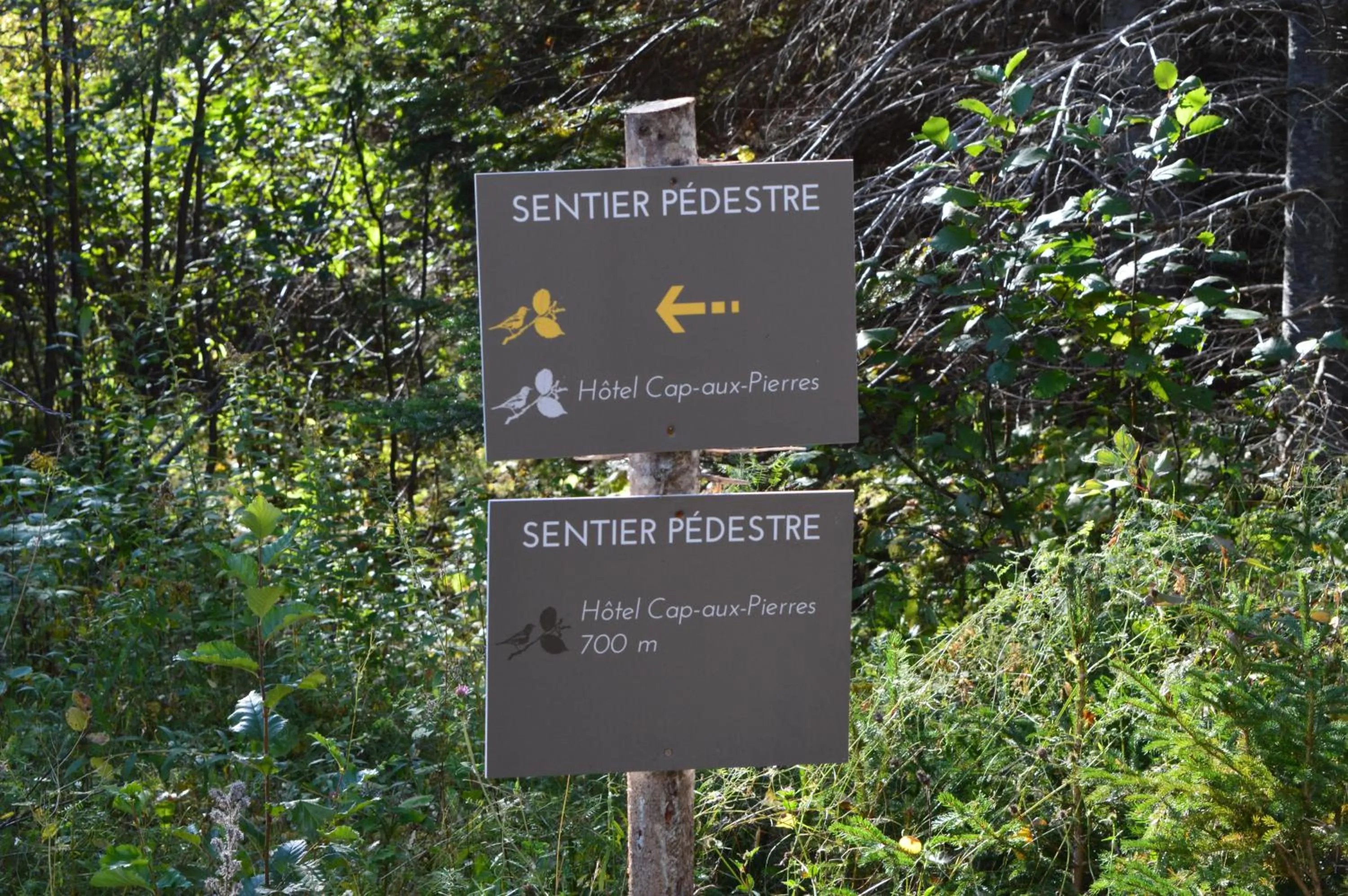 Activities in Hotel Cap-aux-Pierres