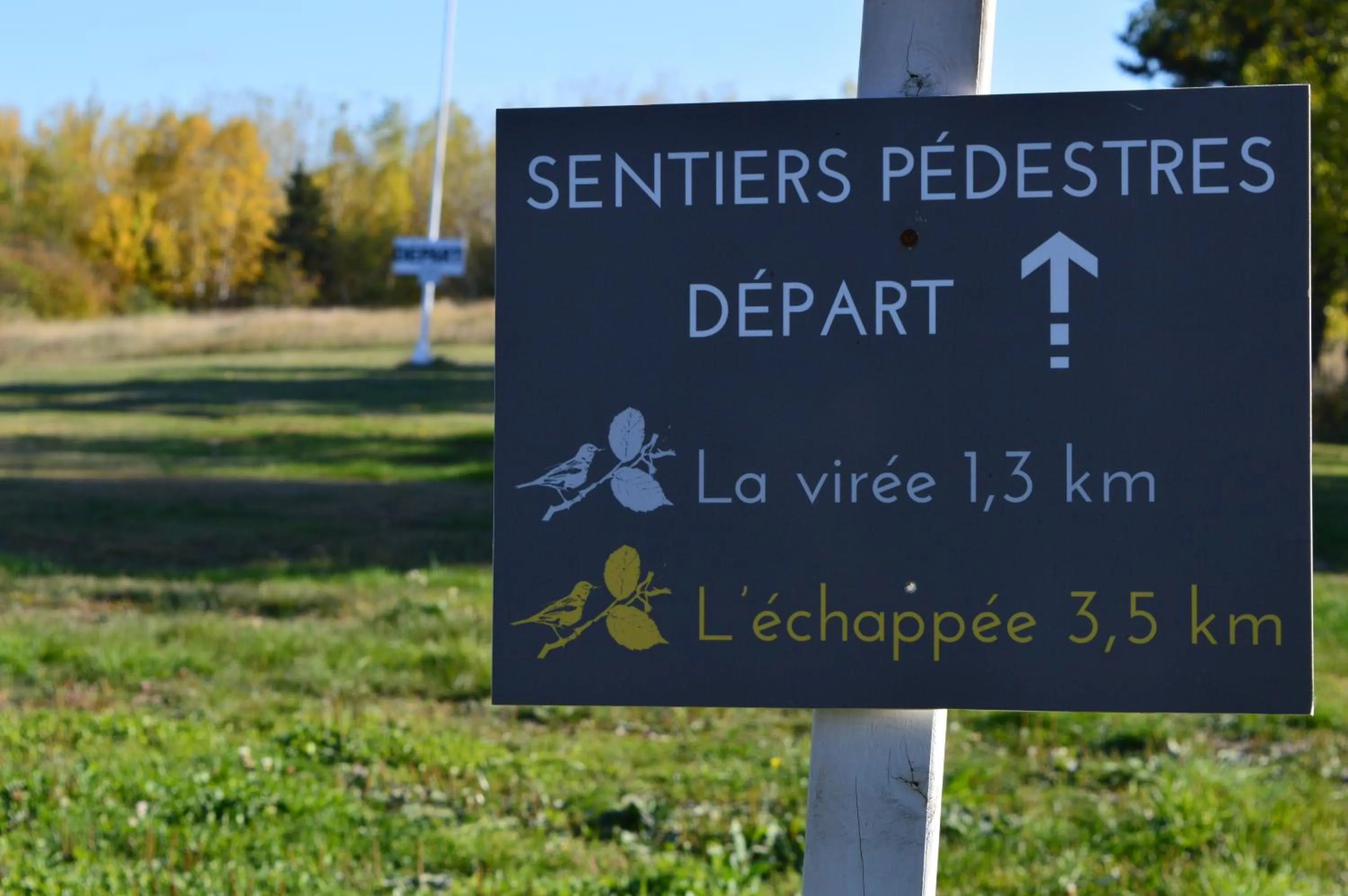 Activities in Hotel Cap-aux-Pierres