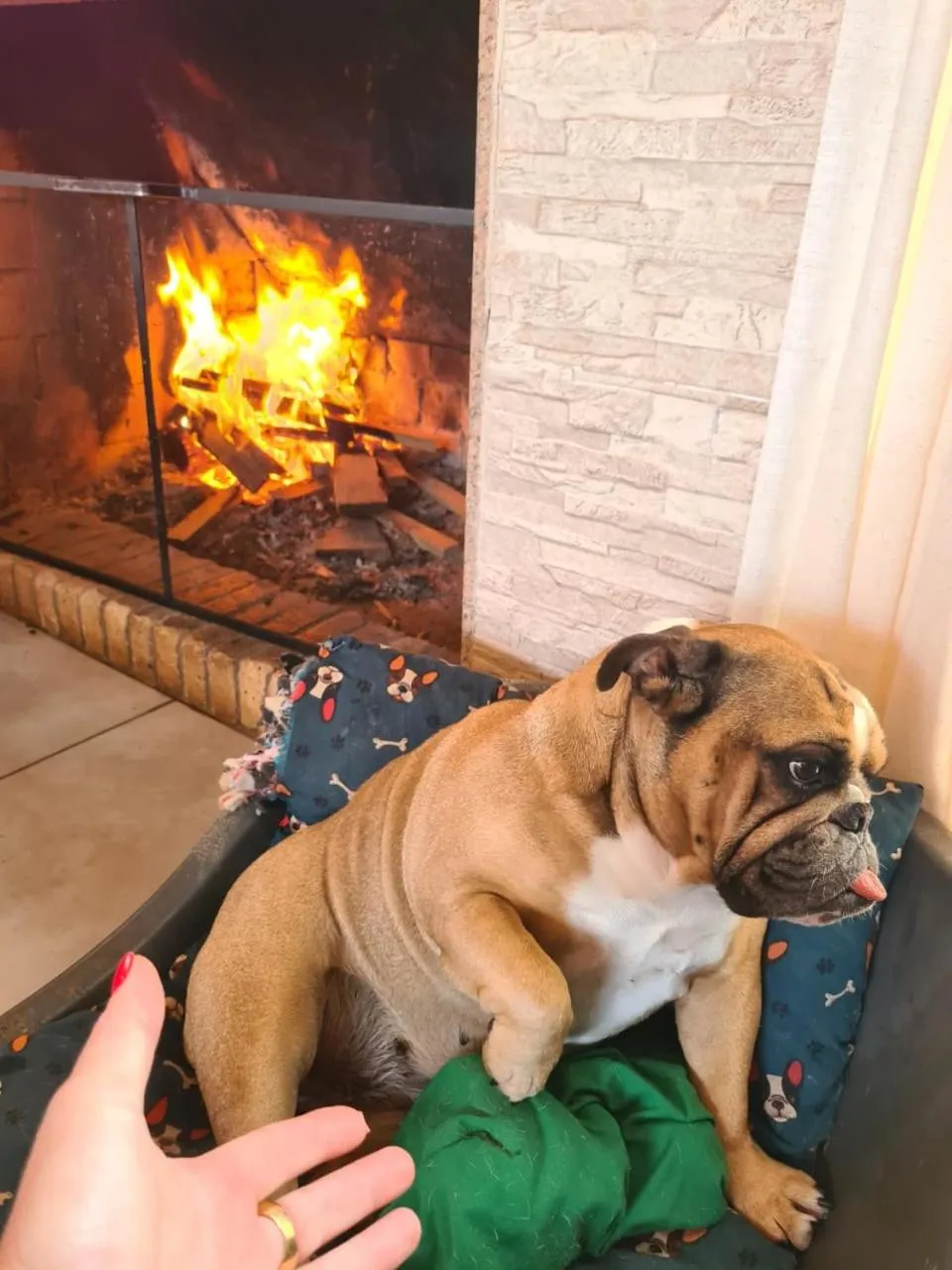 Refúgio dos Coiotes