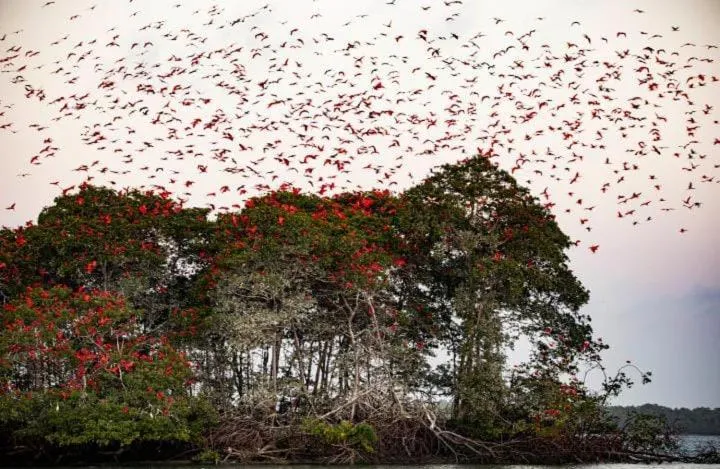 Pousada Cristo Rei-Parnaíba 24h