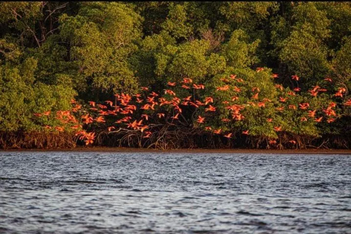 Pousada Cristo Rei-Parnaíba 24h