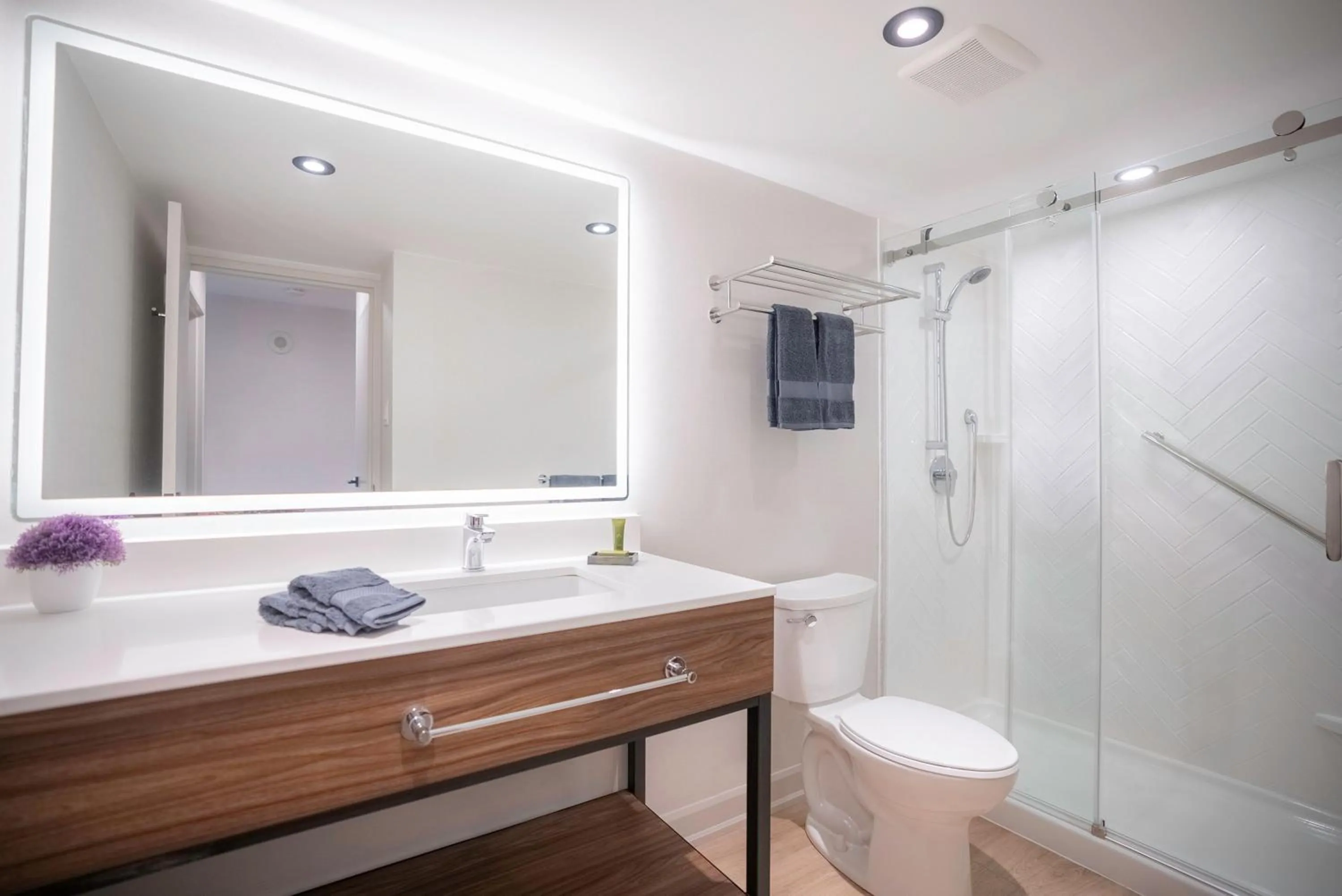 Shower in Les Suites Hotel Ottawa