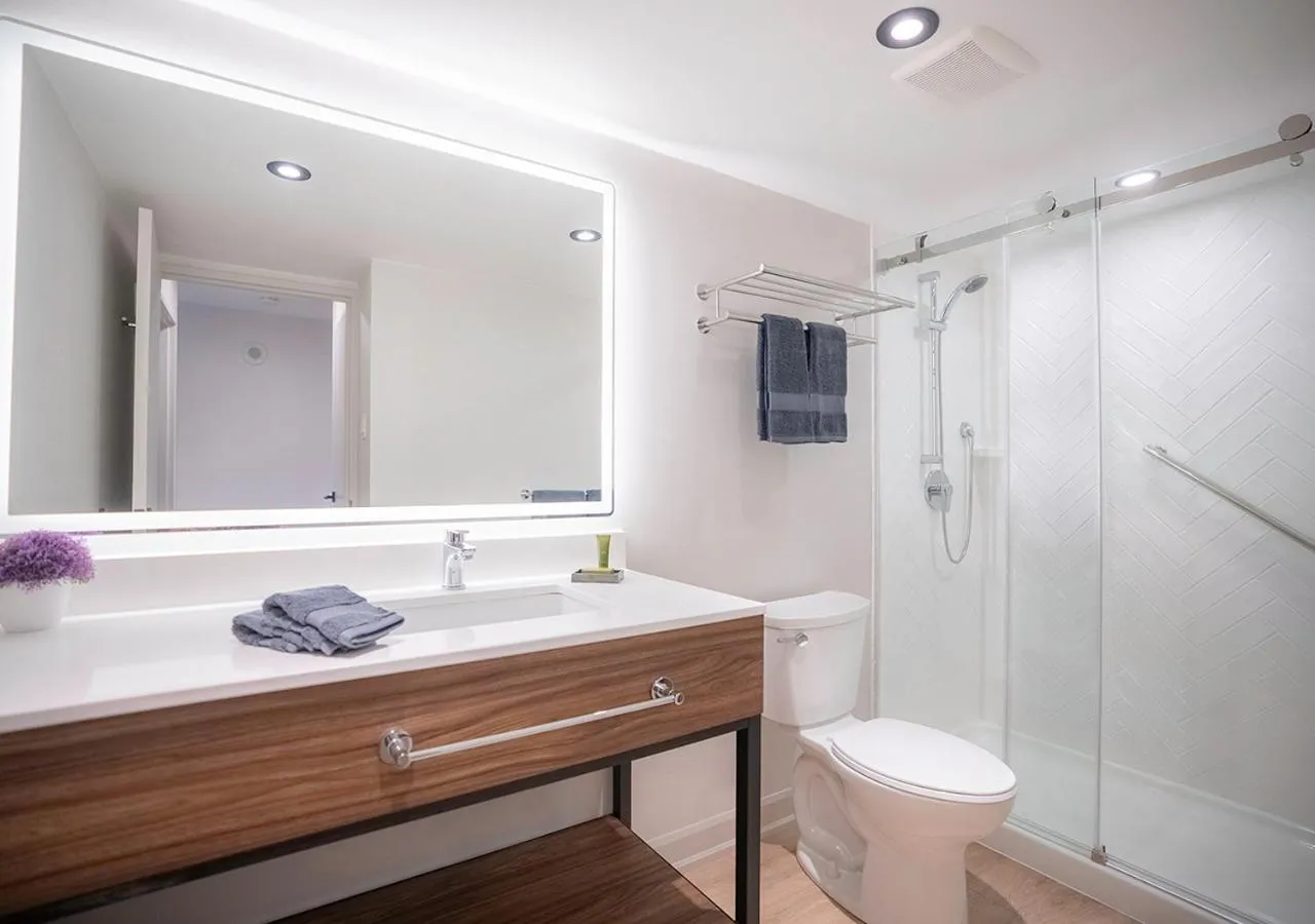 Bathroom in Les Suites Hotel Ottawa