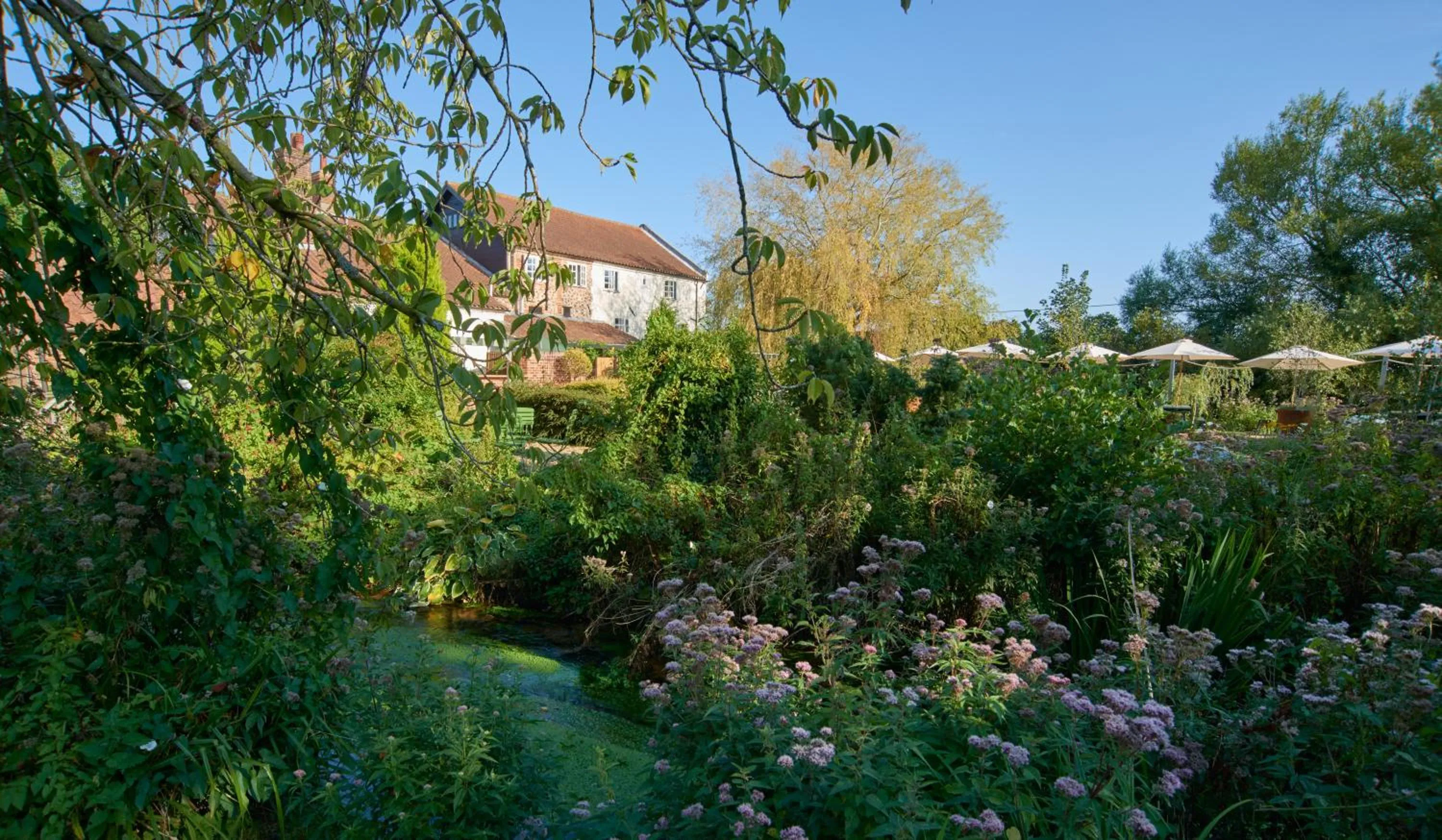 Spring in Sculthorpe Mill