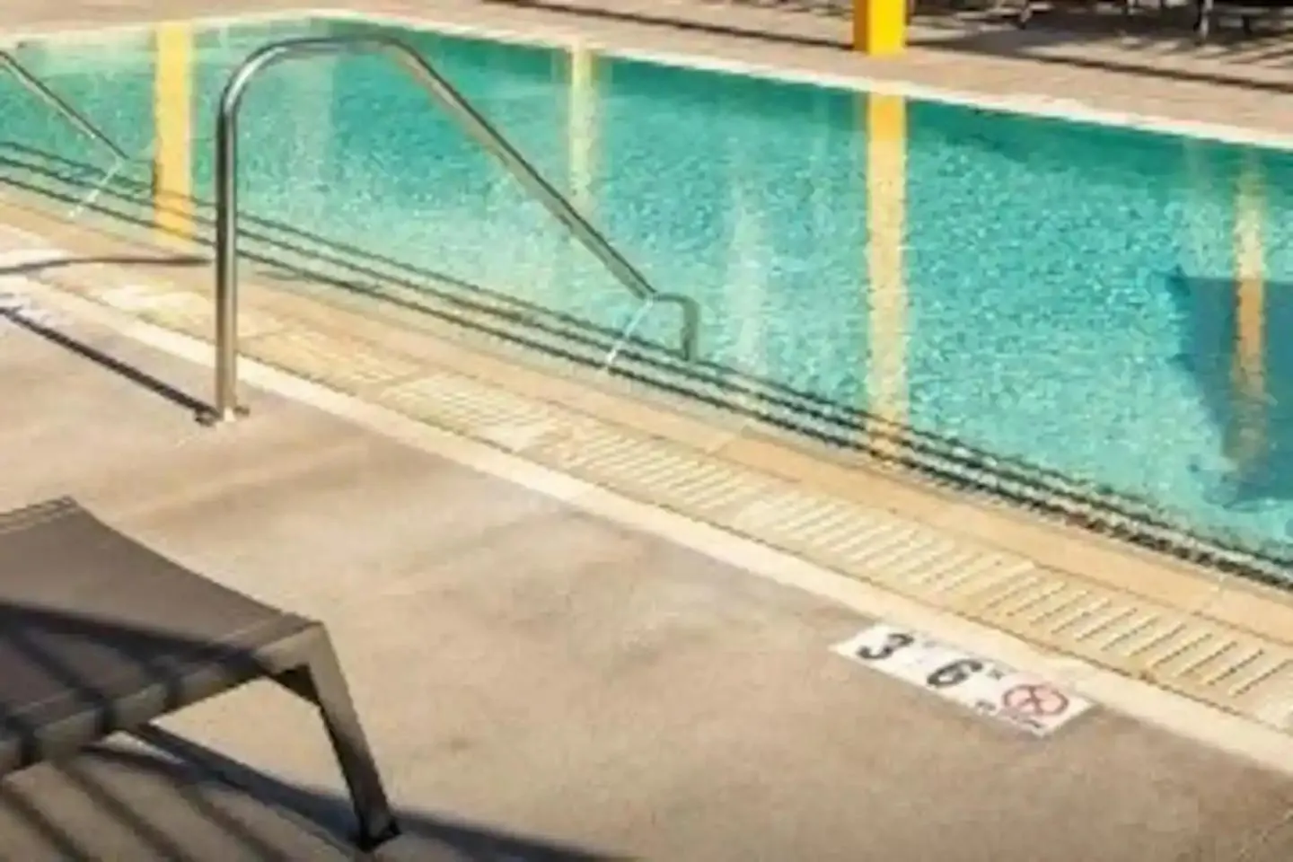 Swimming pool in Apart Hotel near Dodgers Stadium