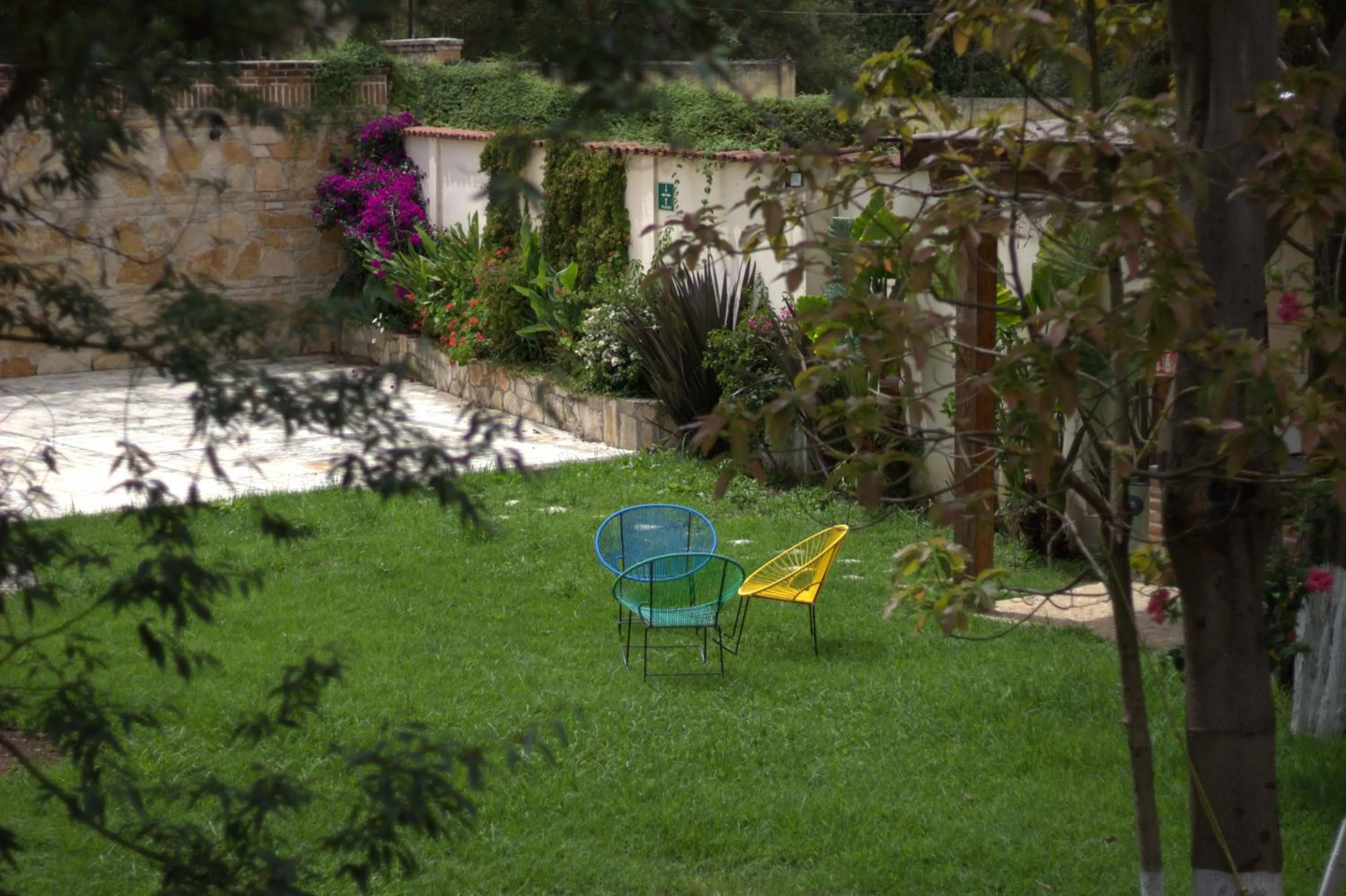 Garden in Hacienda Molino Santo Domingo