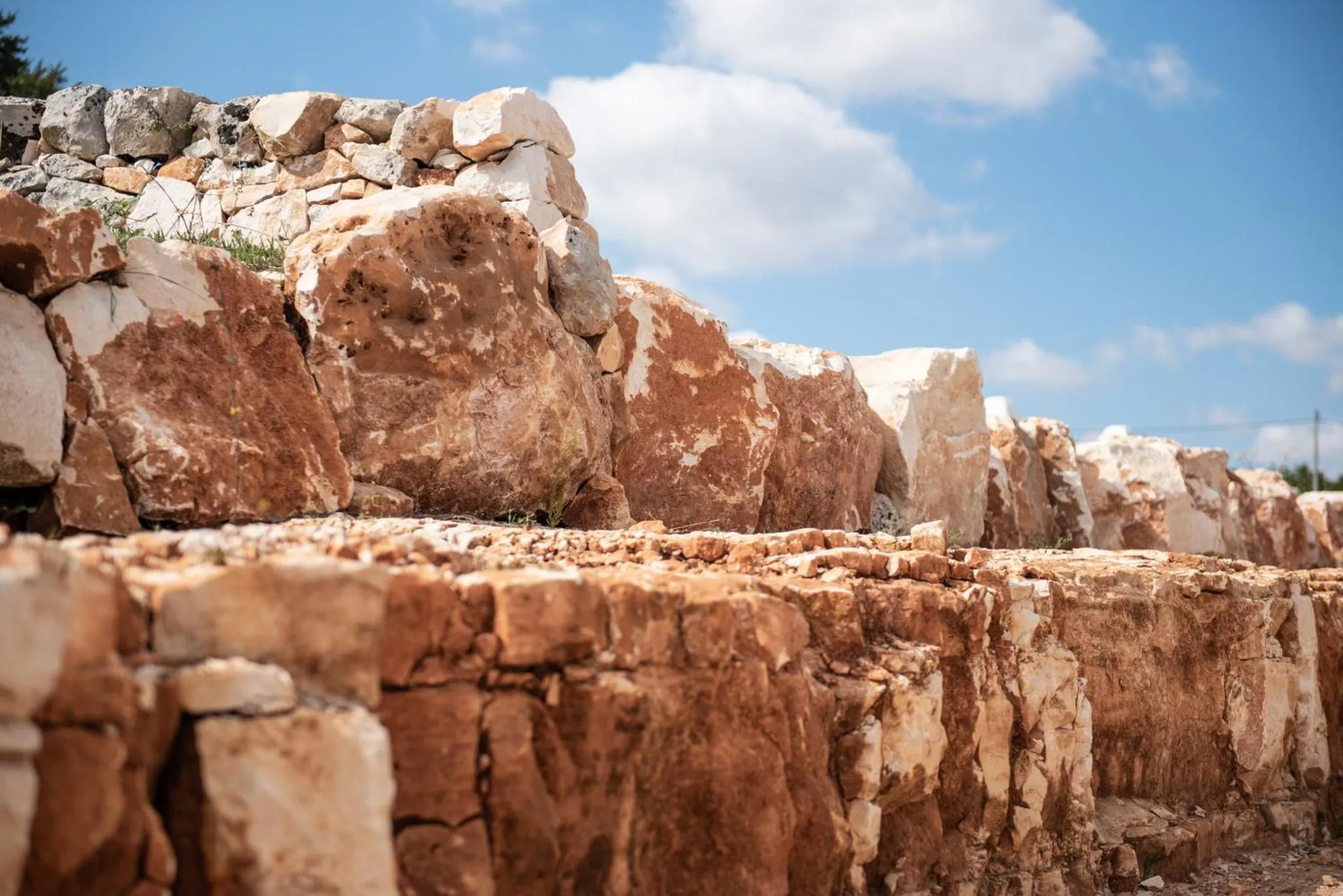 Toilet in Tenuta Marinelli