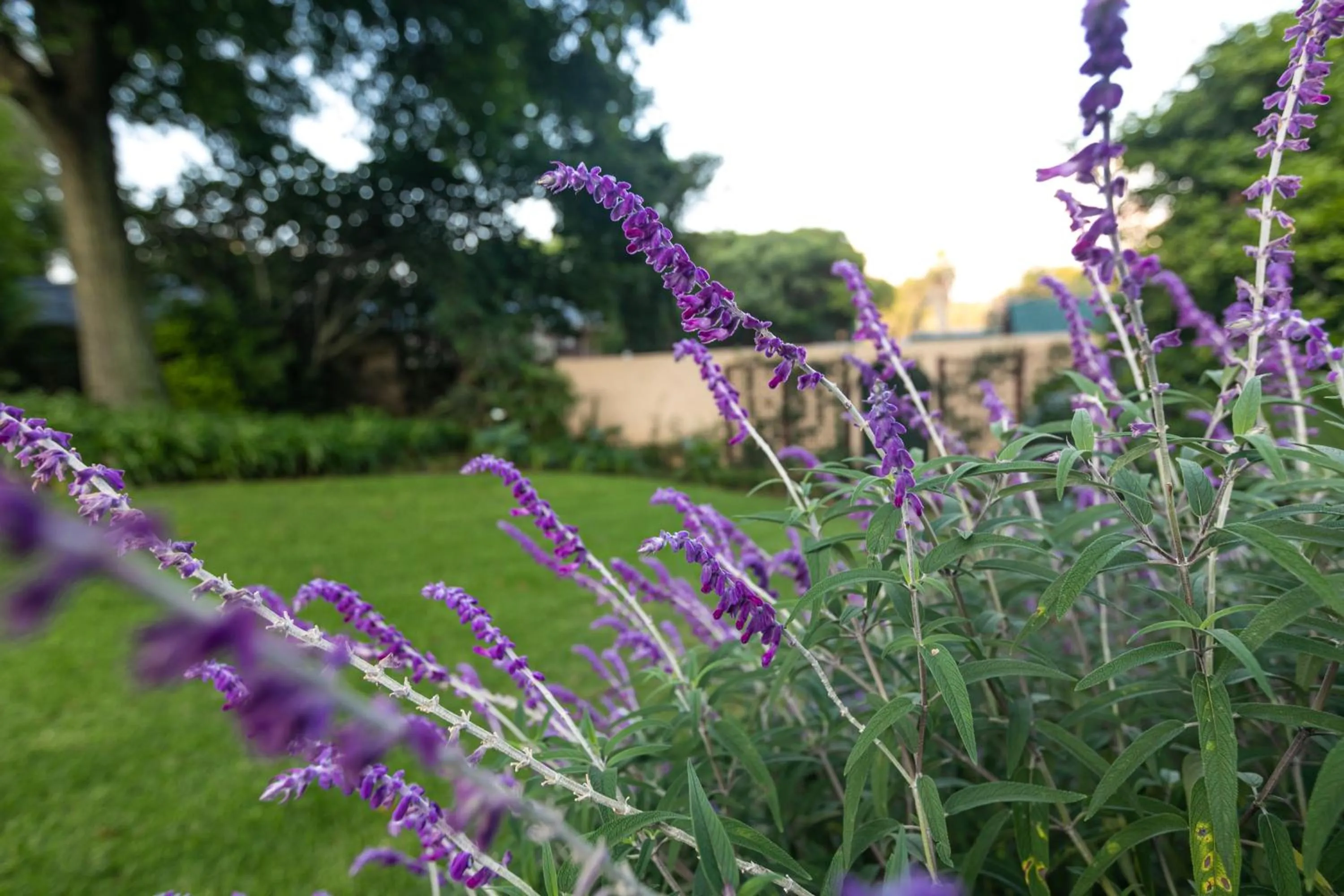 Garden in Emmarentia Guest House