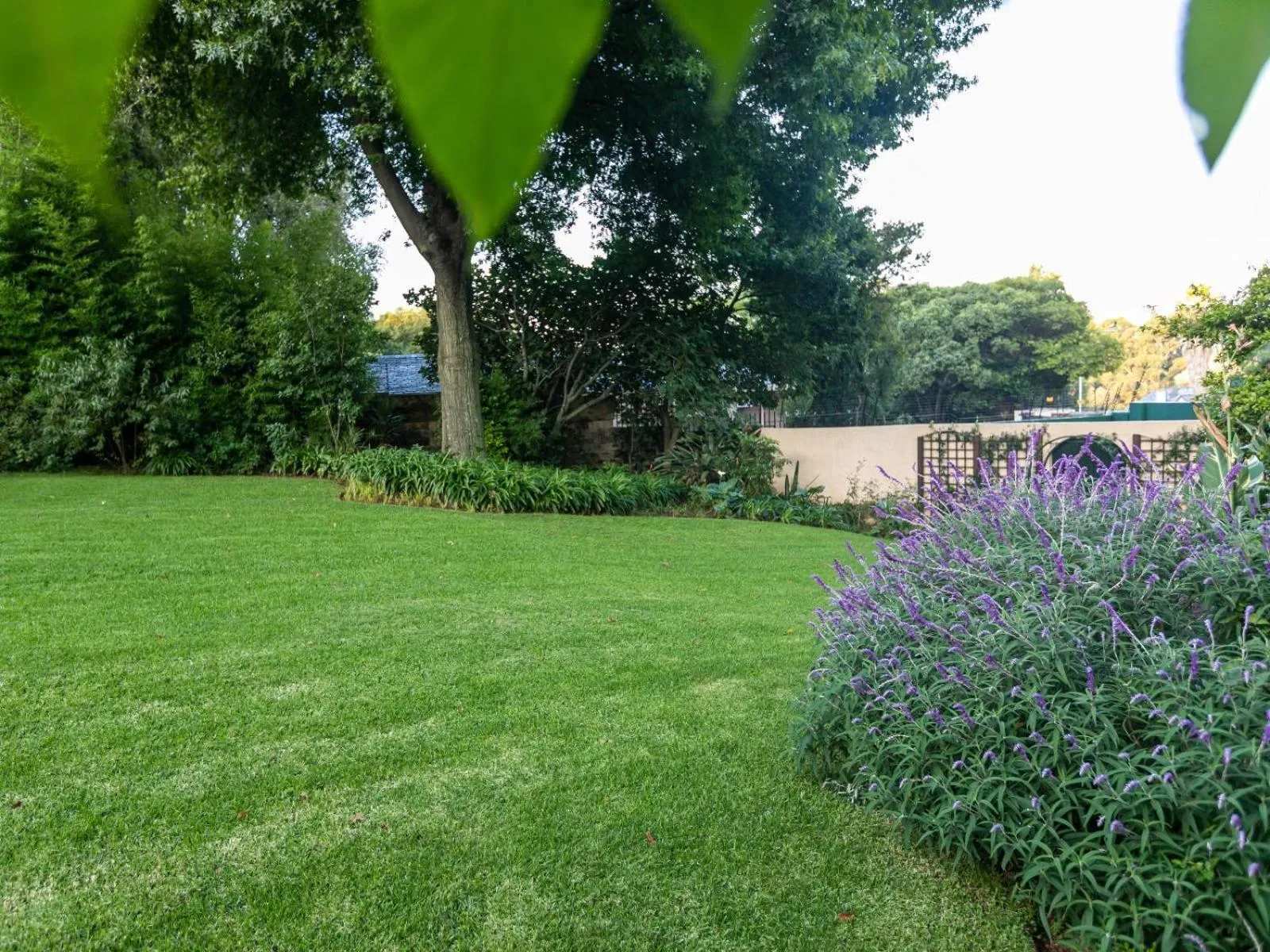 Garden in Emmarentia Guest House
