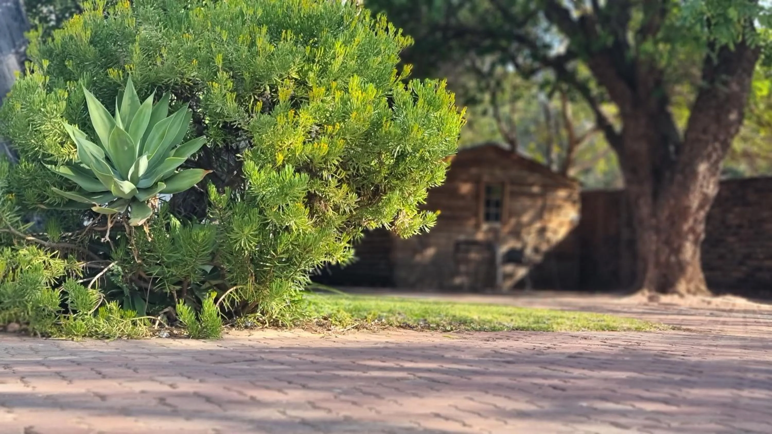 Spring in Zoete Rust Boutique Hotel