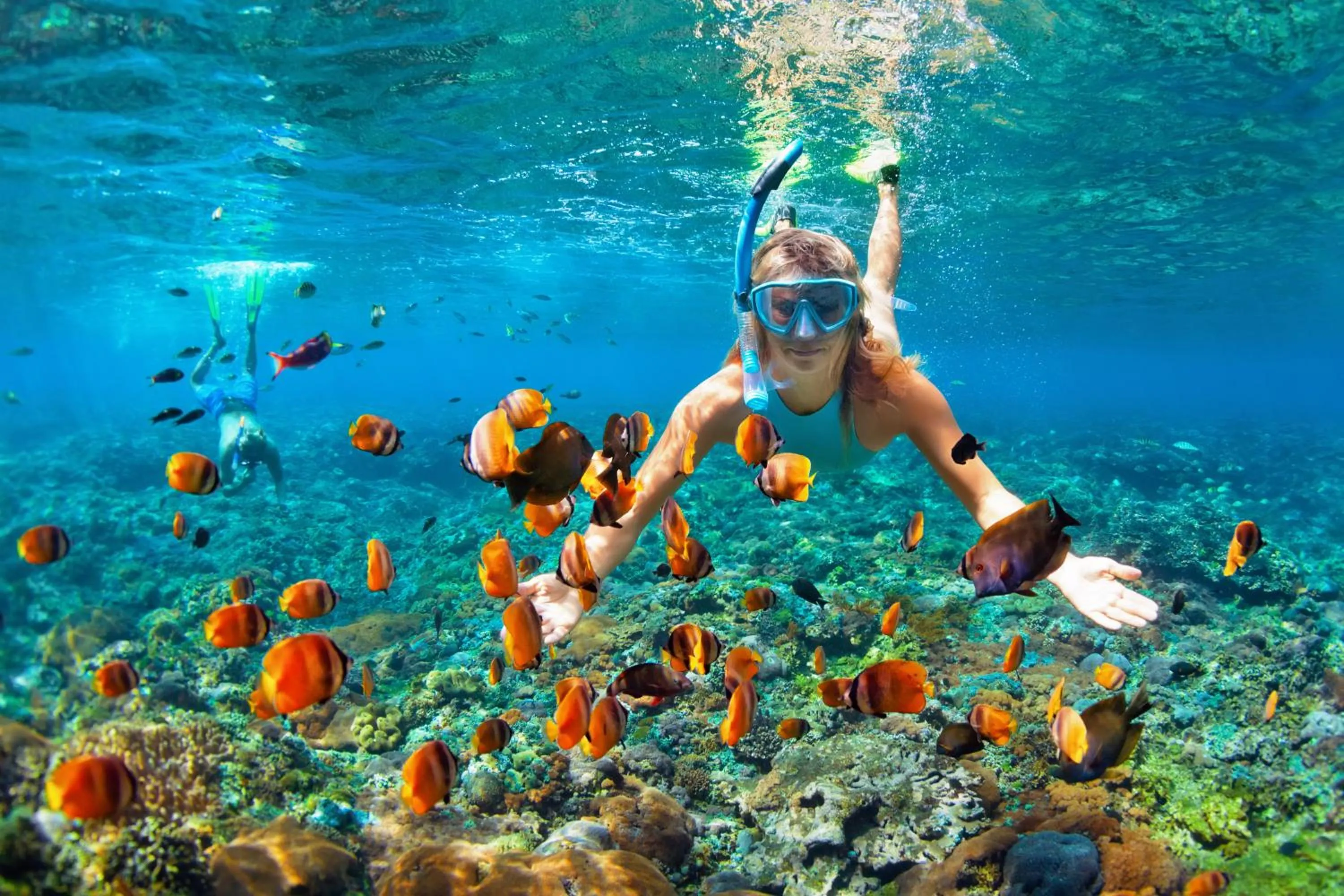 Snorkeling in Pulau Villa Canggu