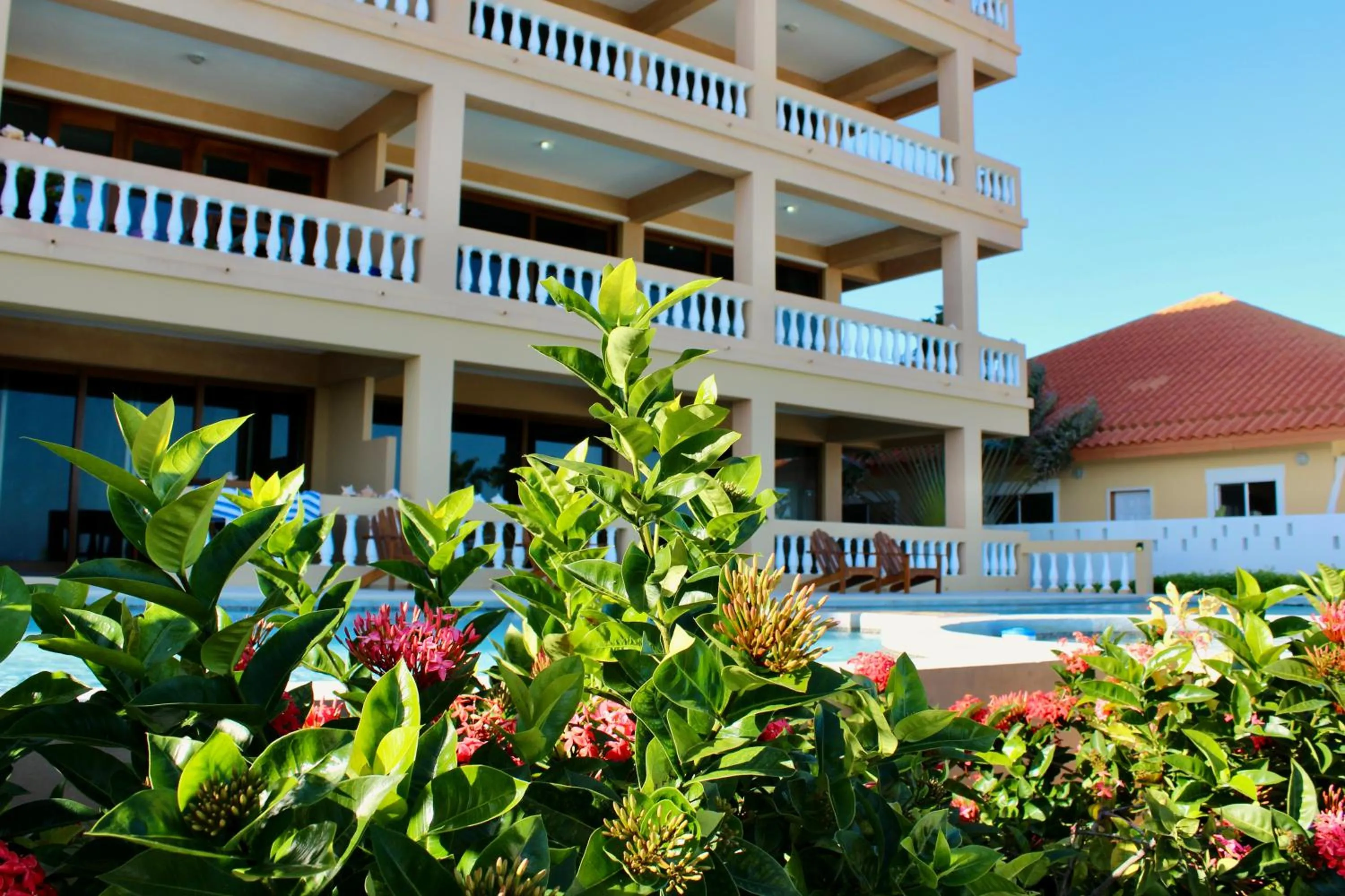 Property building in Hol Chan Reef Resort & Villas