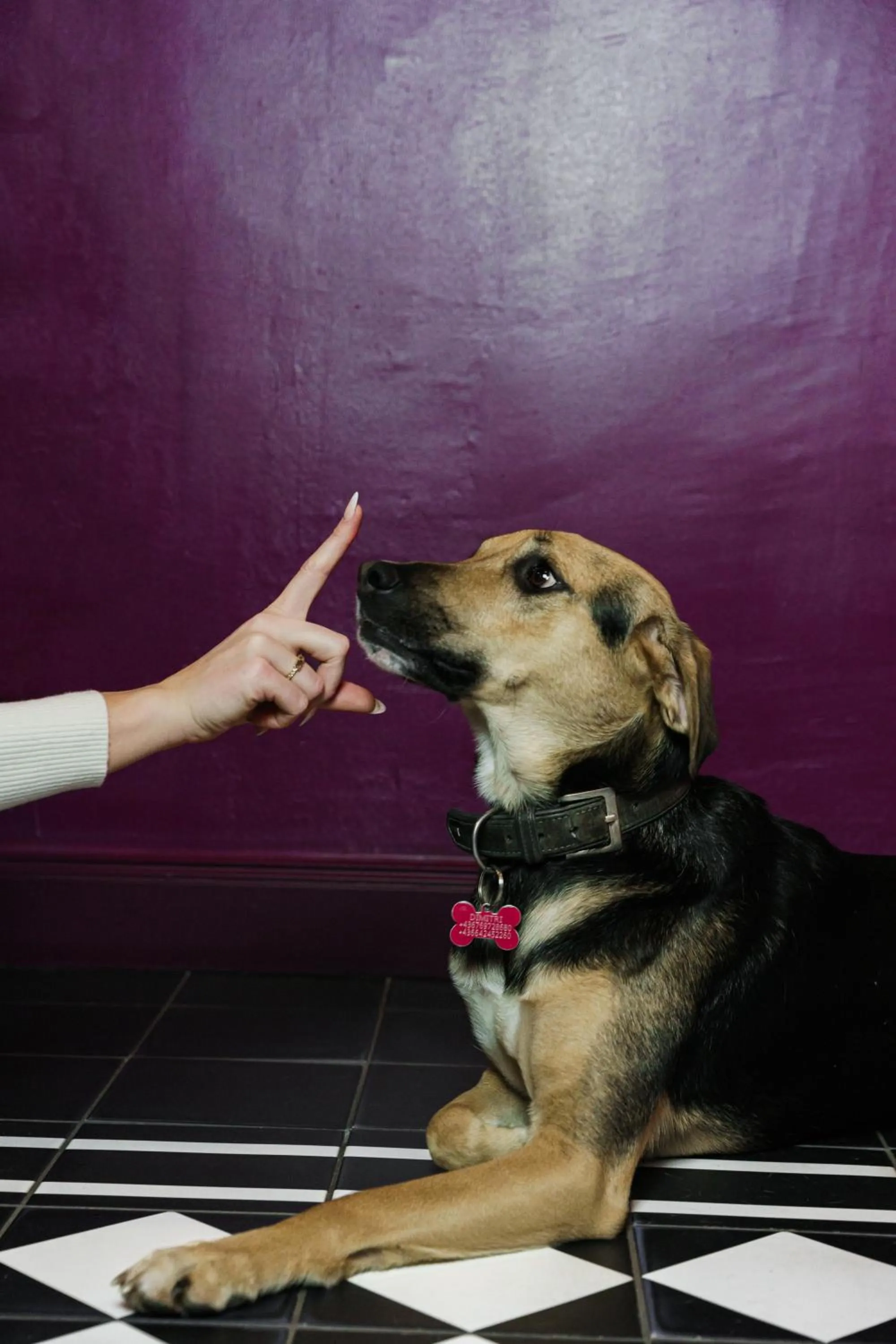 Staff in Hotel Josefine