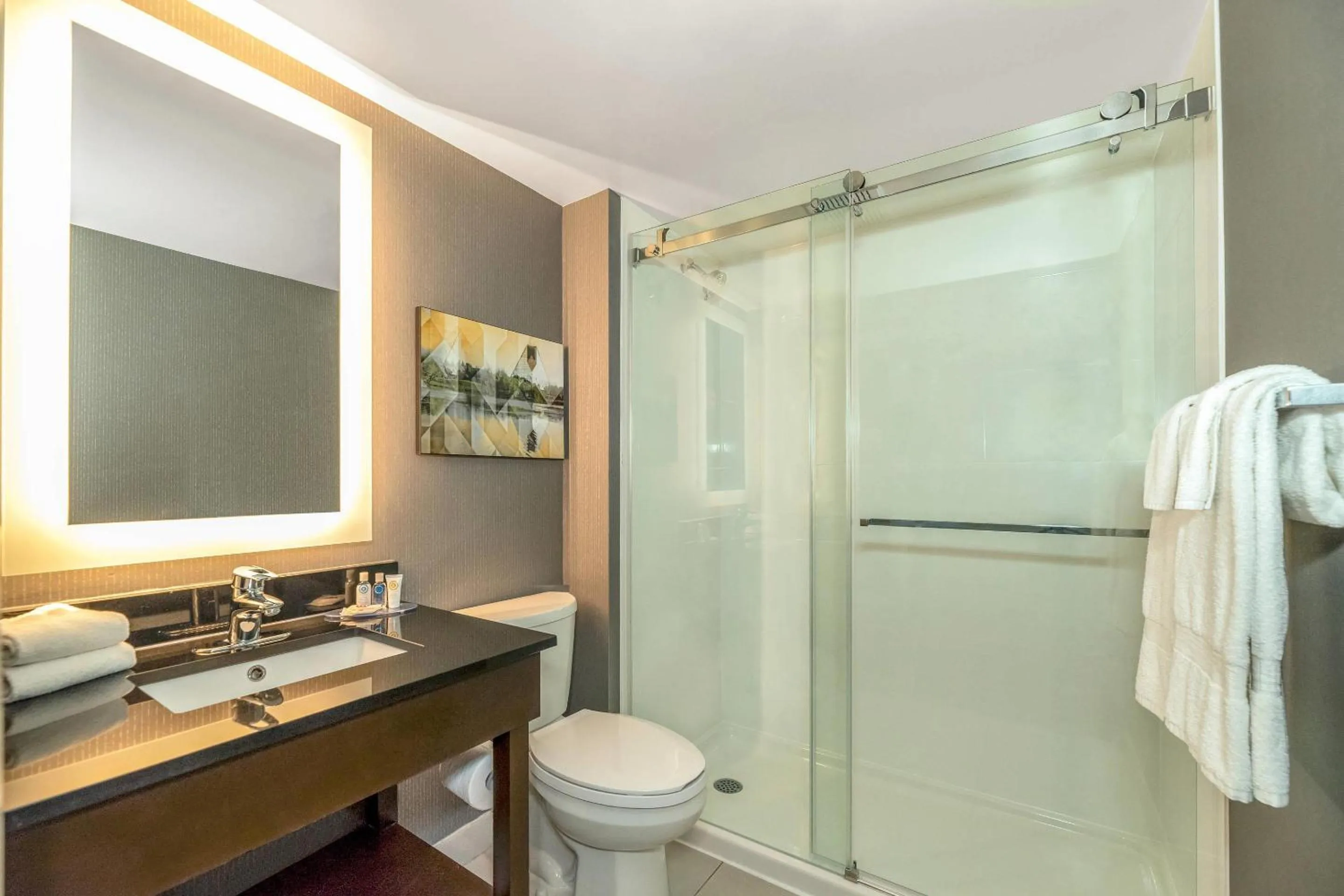 Bedroom in Comfort Inn Airport