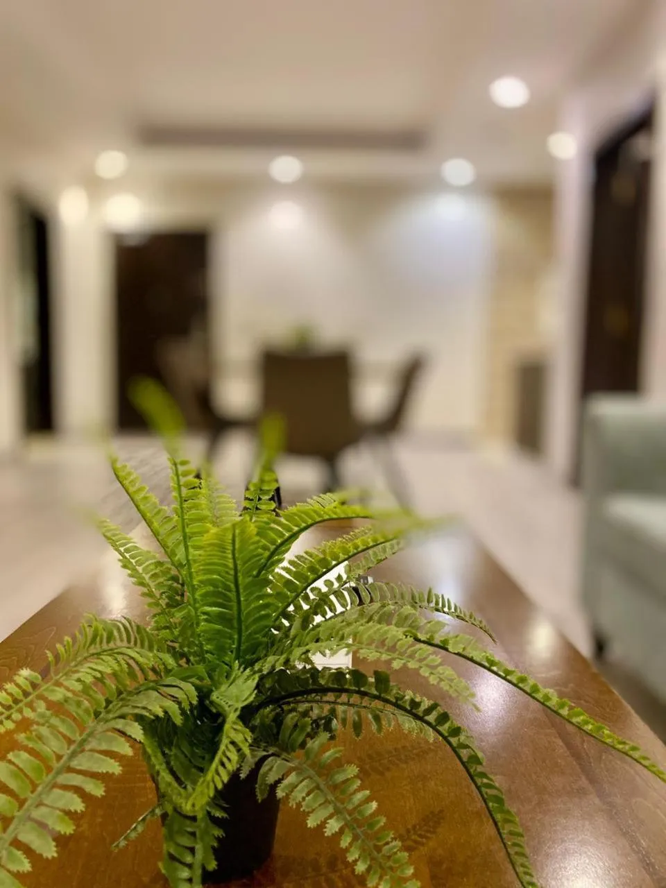 Tu Jardin Al Marwa- توجاردن المروه