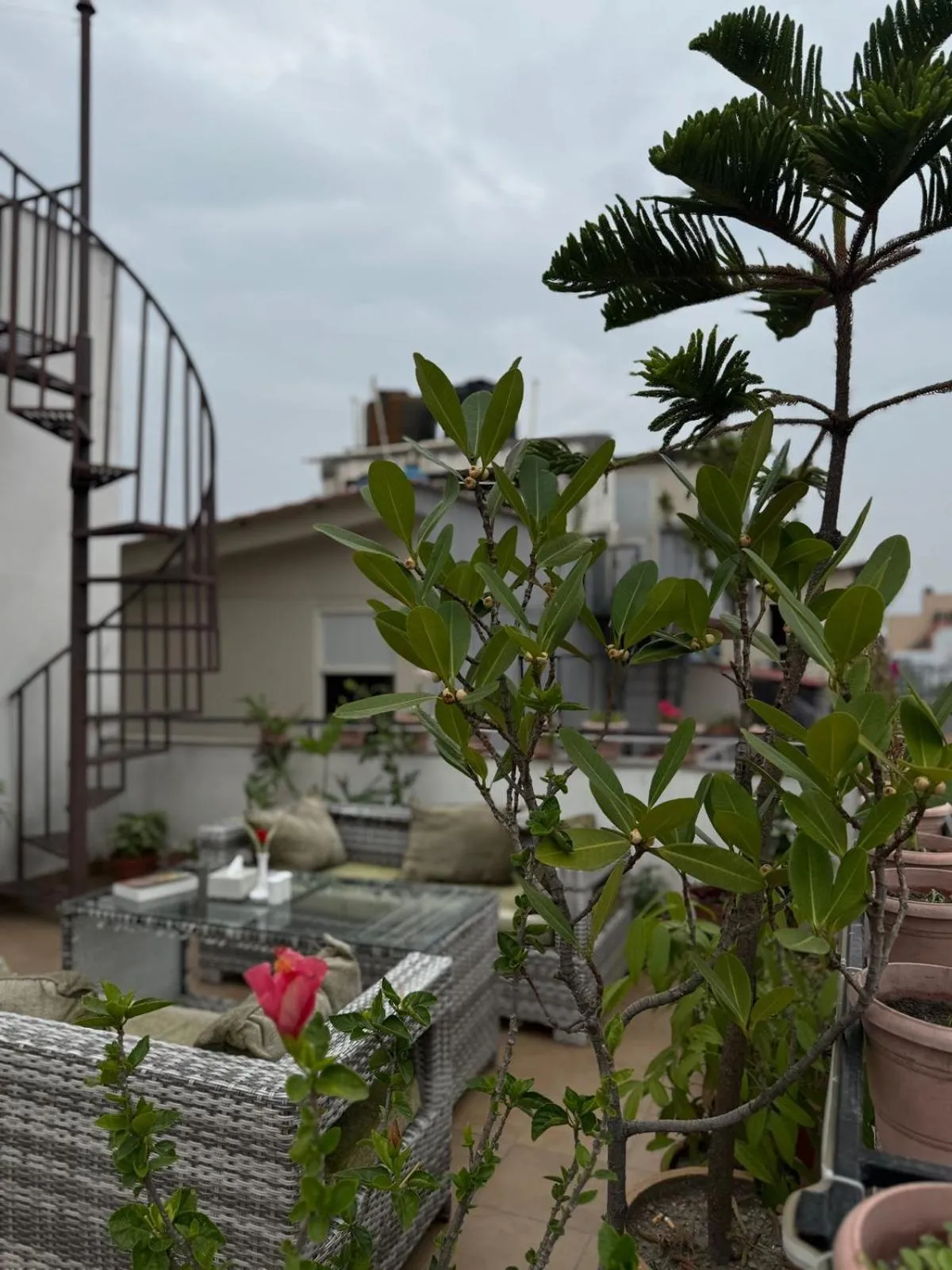 Garden in Vastu Boutique Hotel