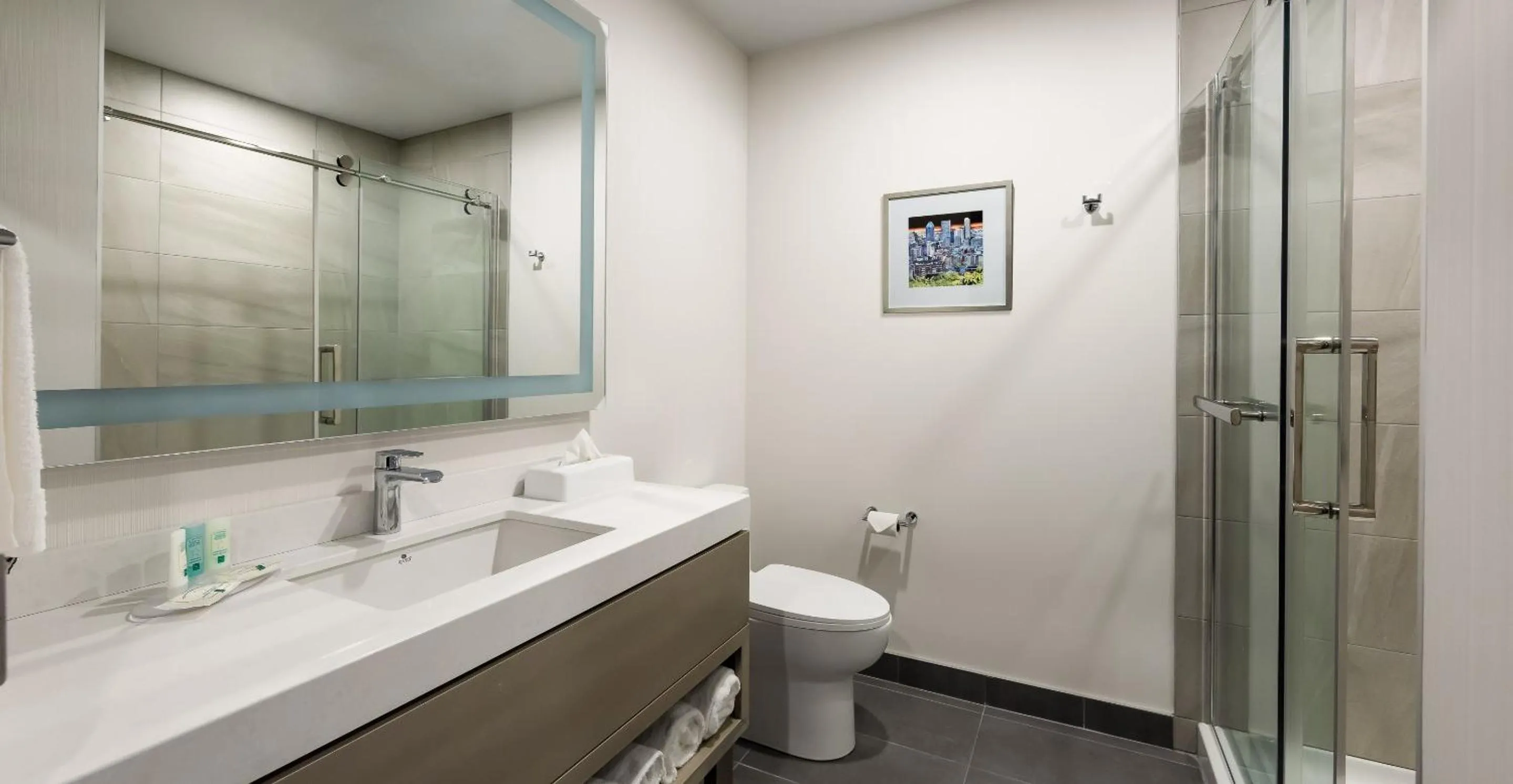 Bathroom in Quality Inn & Suites