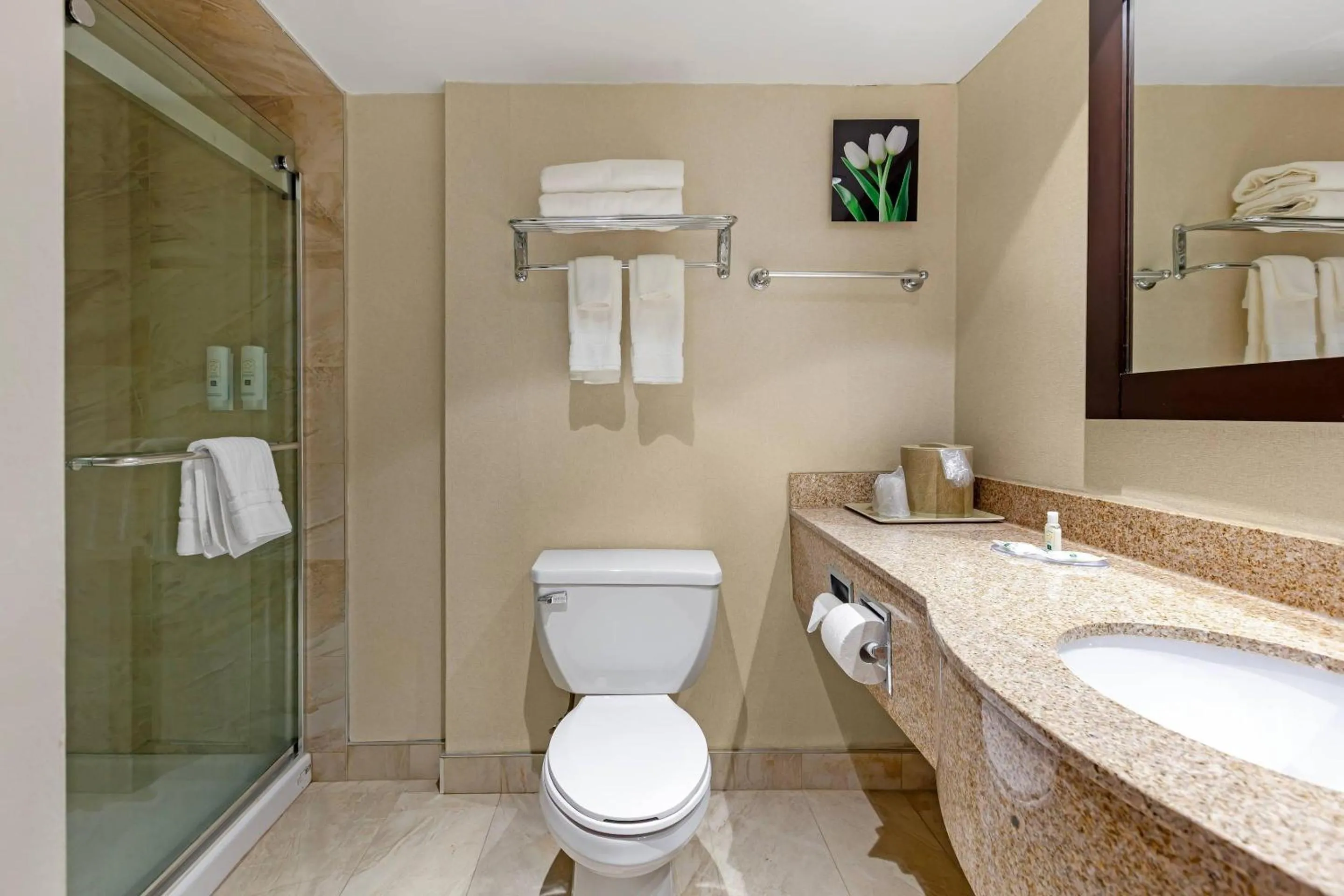 Bathroom in Quality Inn & Suites