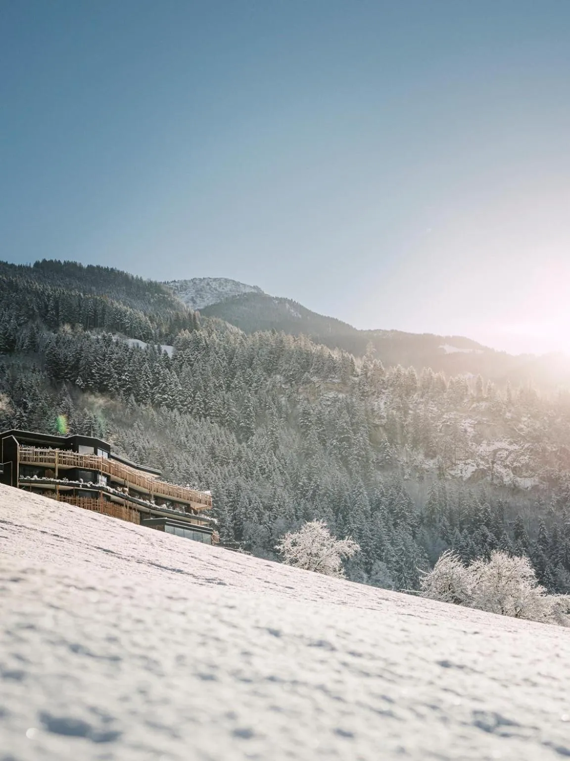 Property building in Coolnest