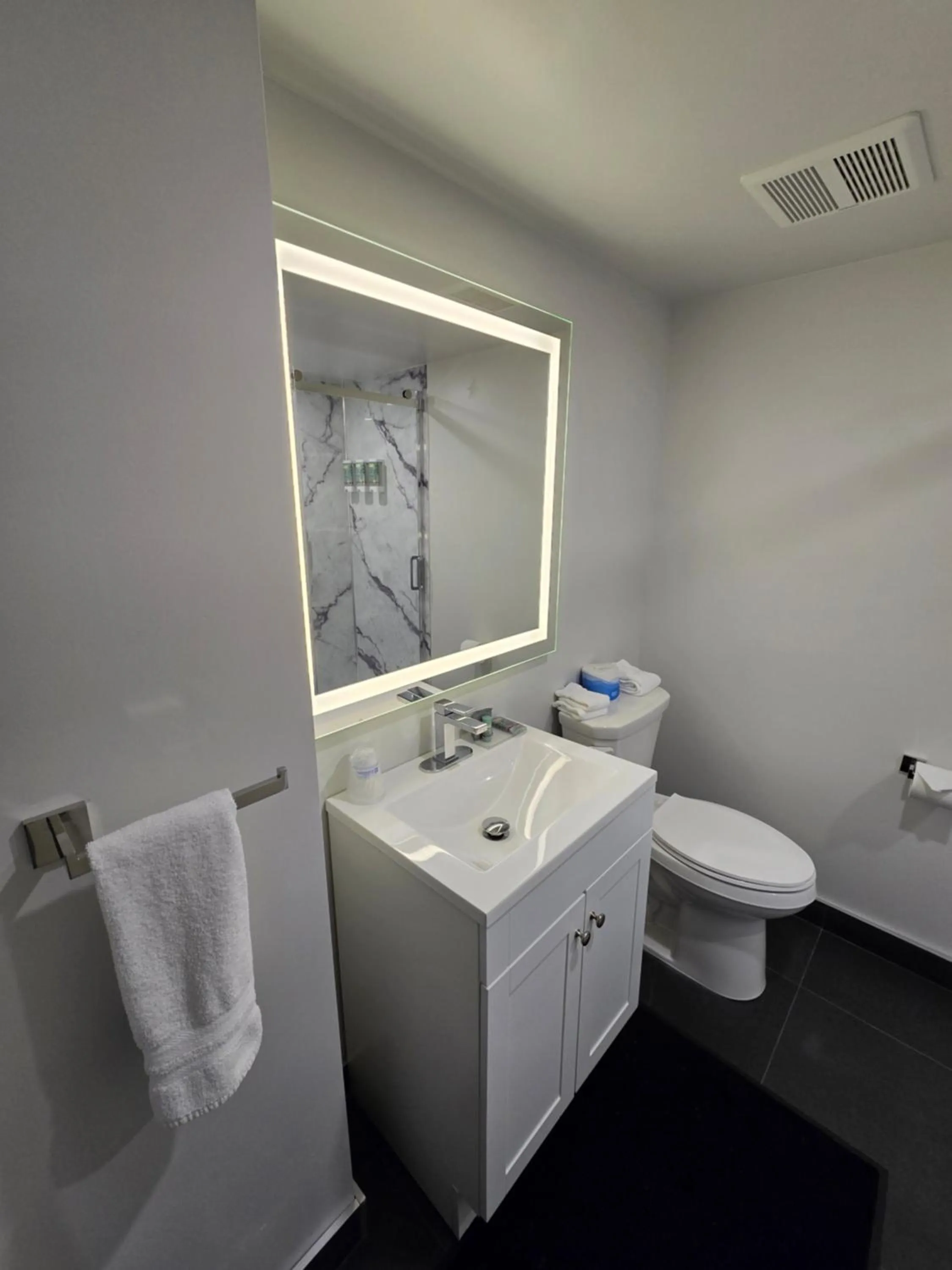 Toilet in Best Western Hotel Brossard