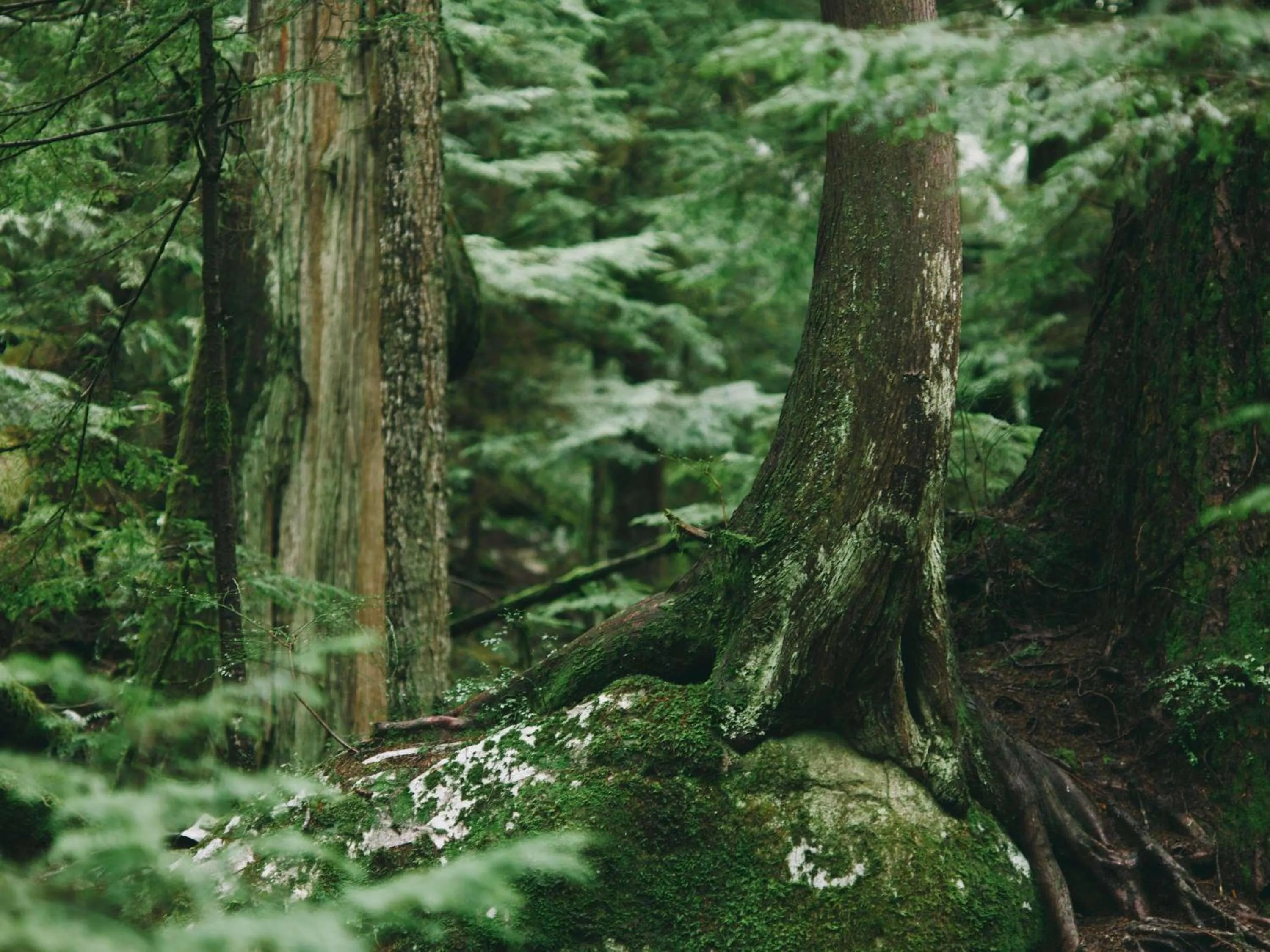 Other in Fairmont Hotel Vancouver