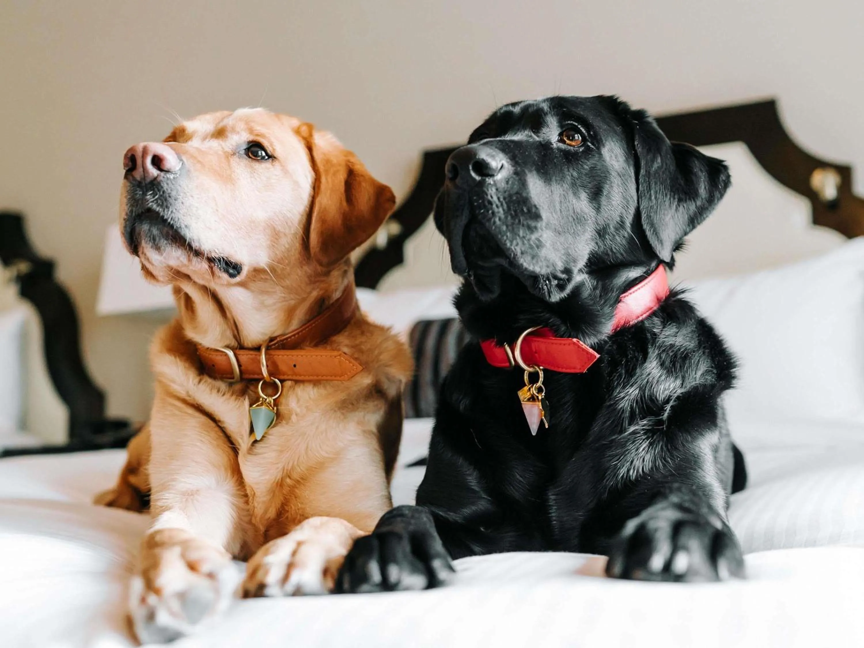 Property building in Fairmont Hotel Vancouver