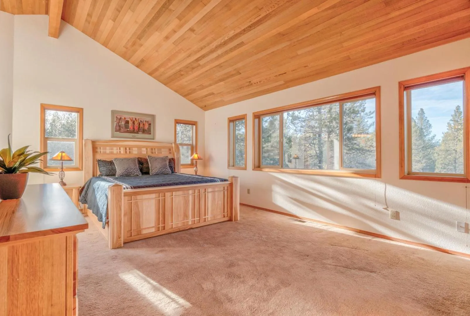 Paper Birch - Unit 10