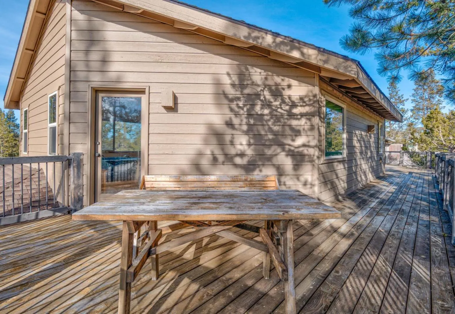 Paper Birch - Unit 10